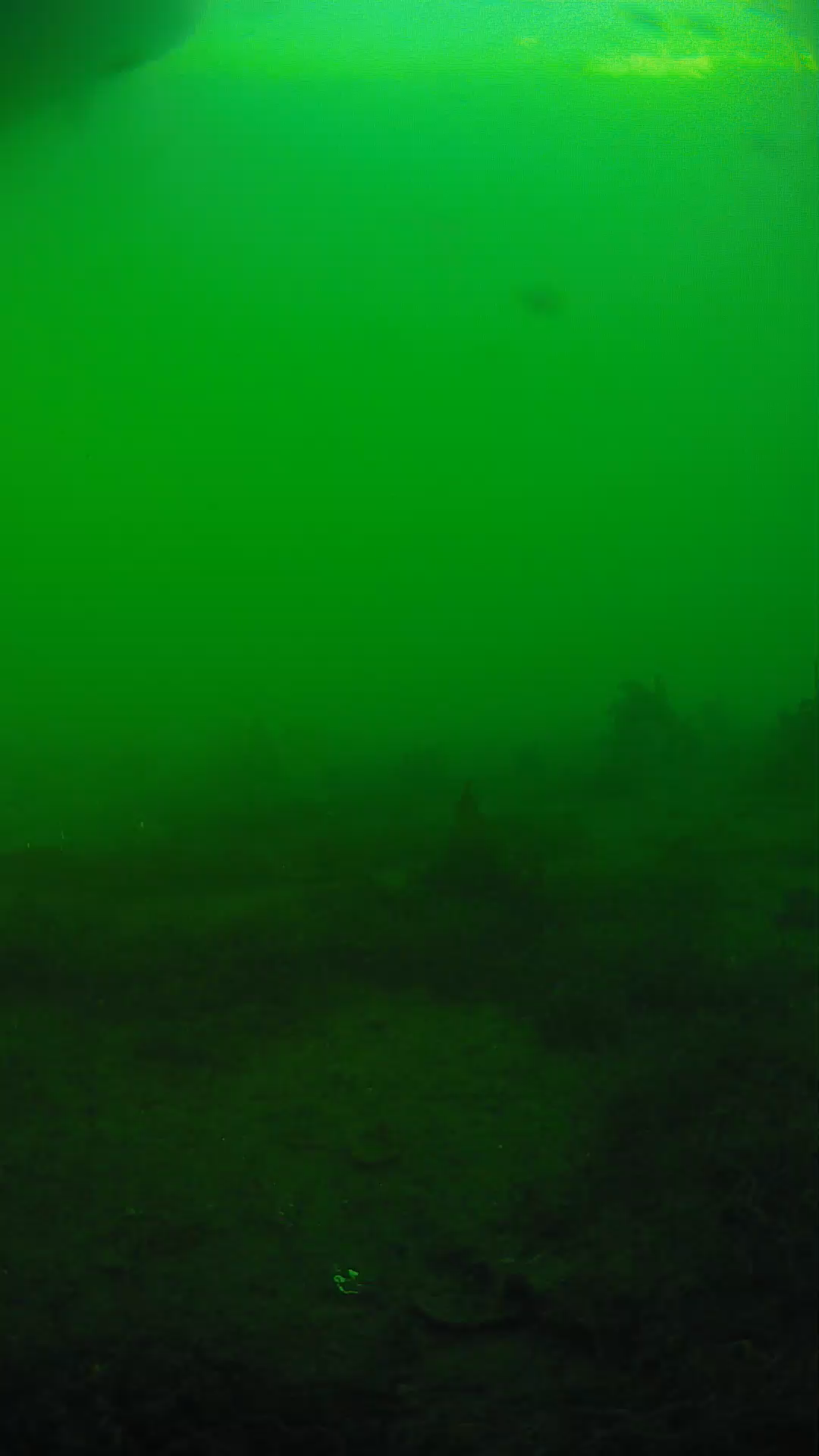 lander_ipcam_20250605181656.png
