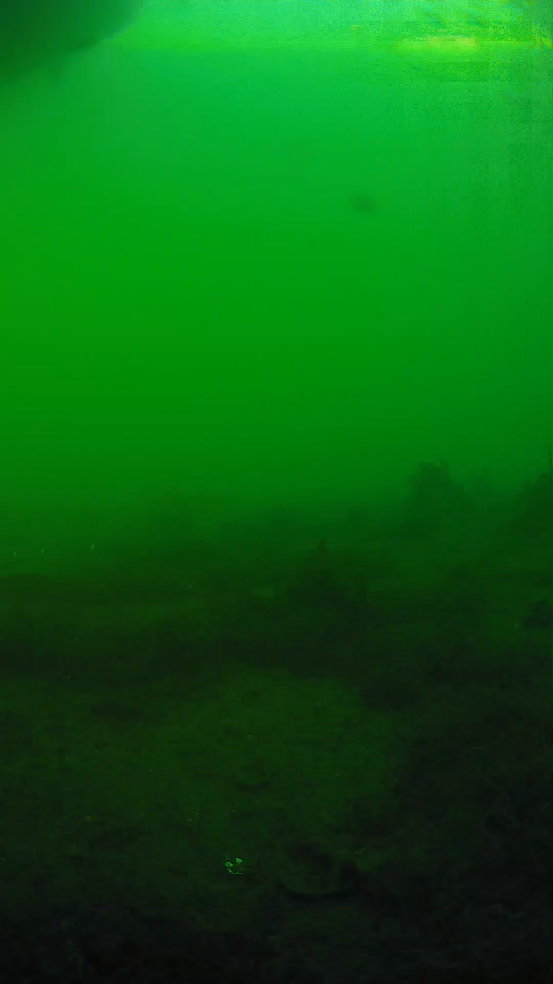 lander_ipcam_20250605181658.png