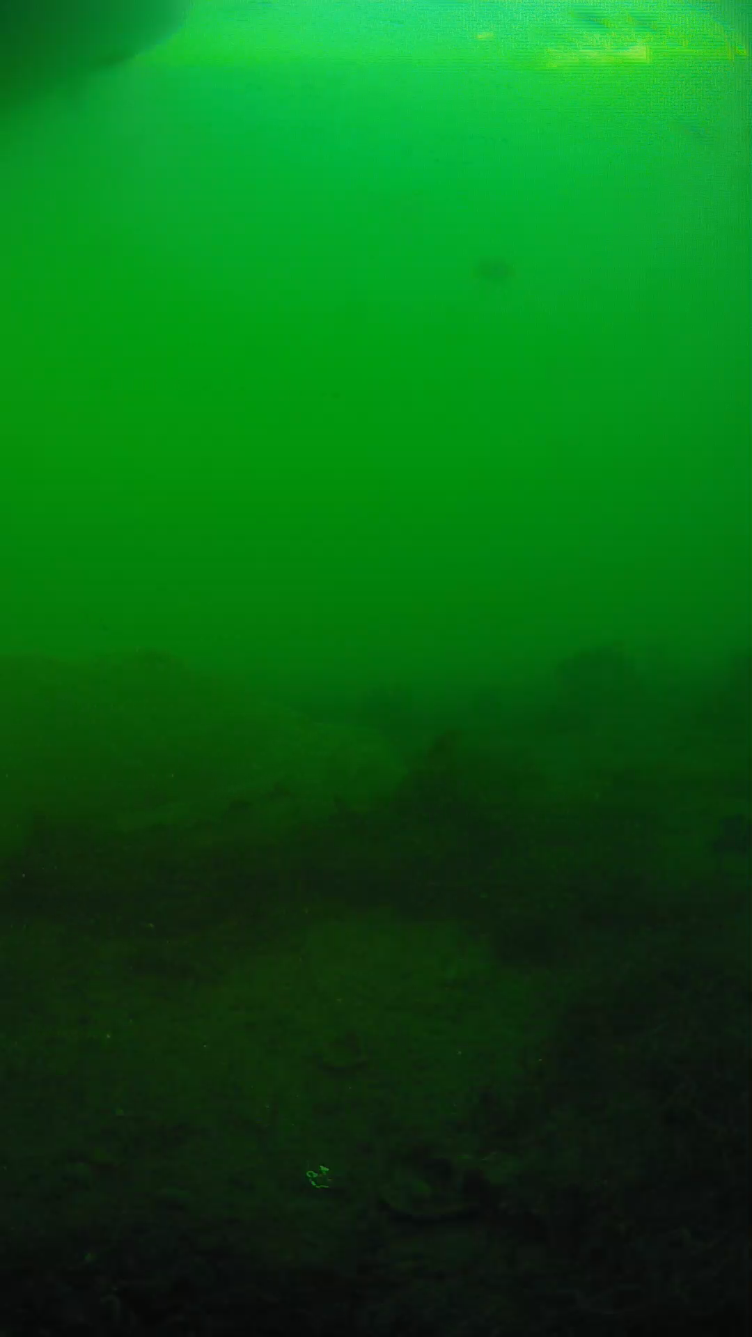 lander_ipcam_20250605183103.png