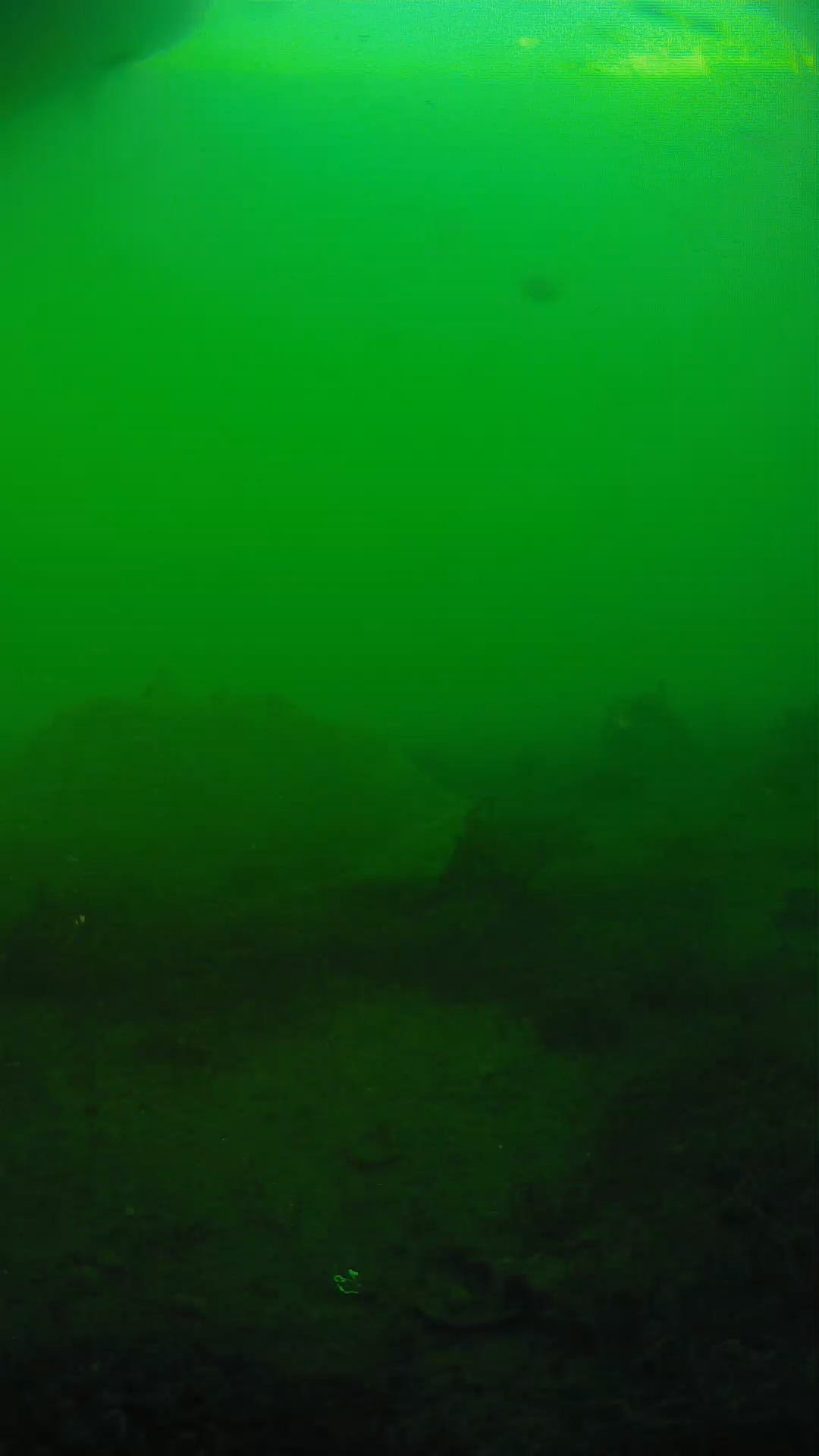 lander_ipcam_20250605183111.png