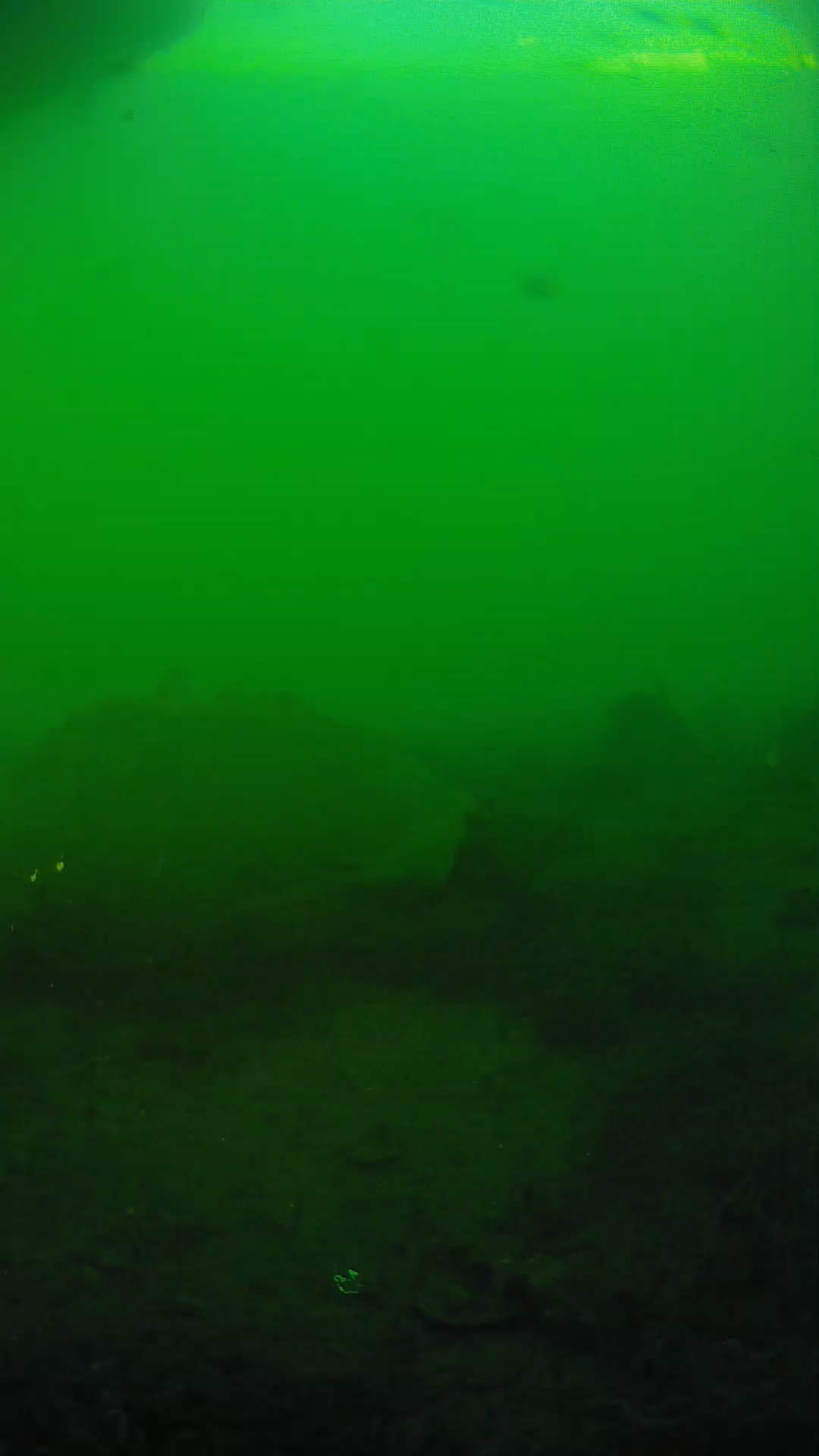 lander_ipcam_20250605183112.png