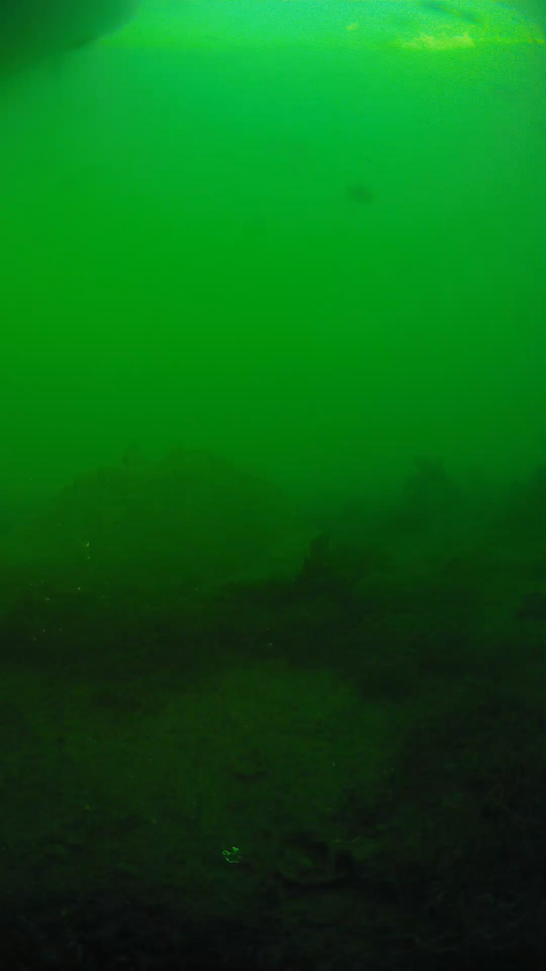 lander_ipcam_20250605183118.png