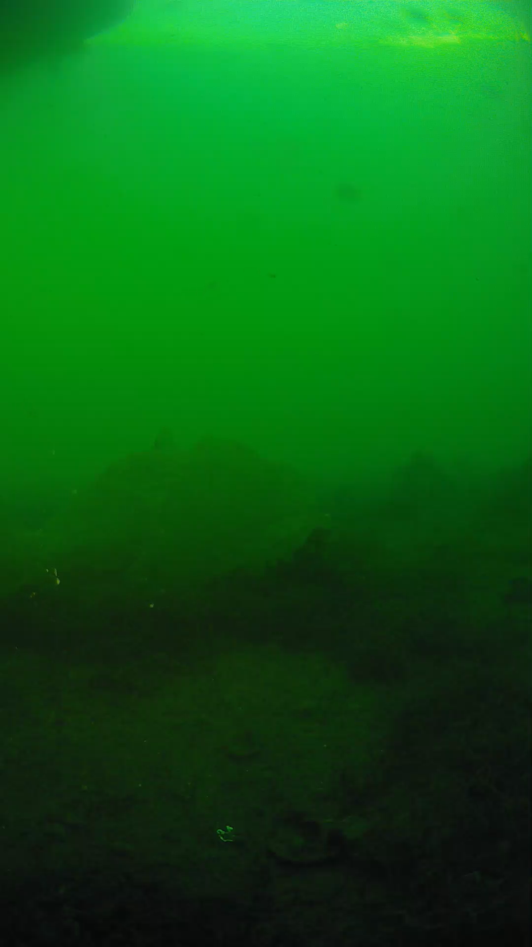 lander_ipcam_20250605183128.png