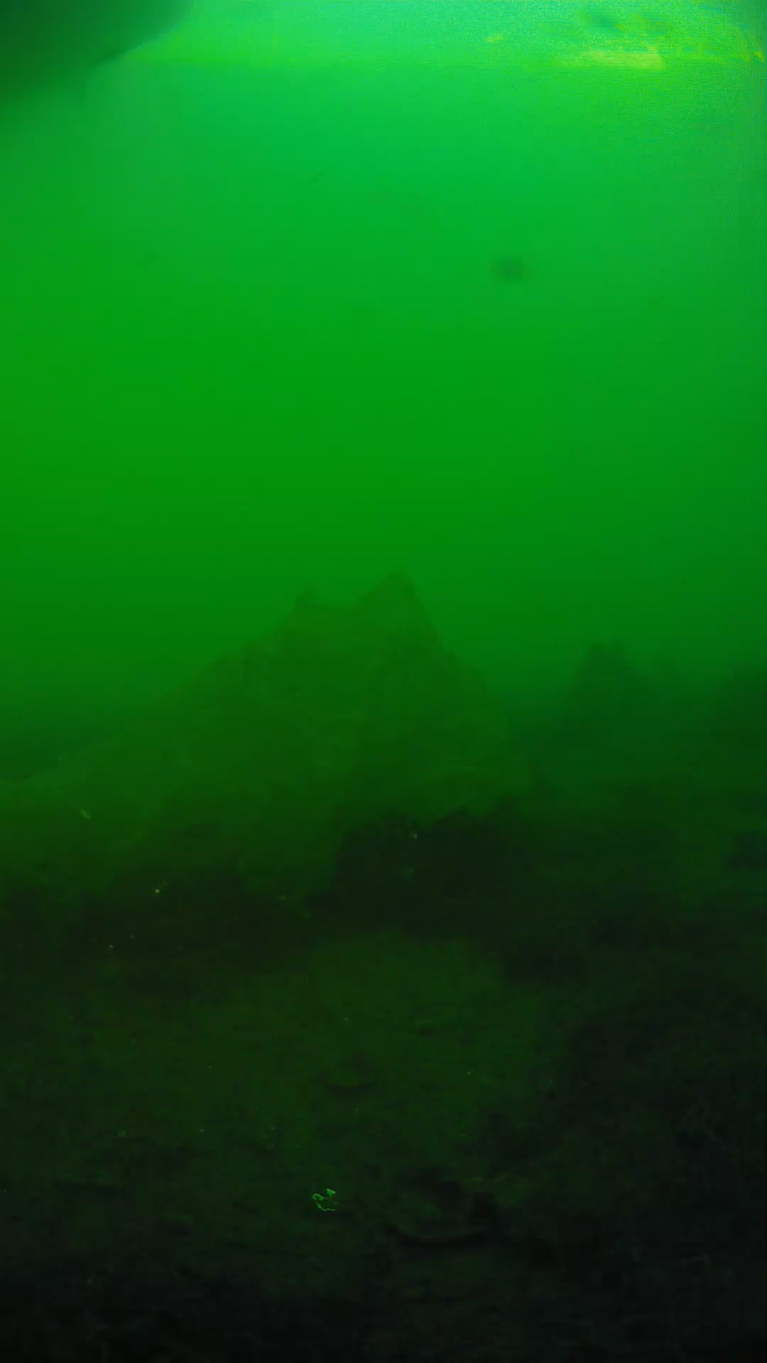 lander_ipcam_20250605183139.png