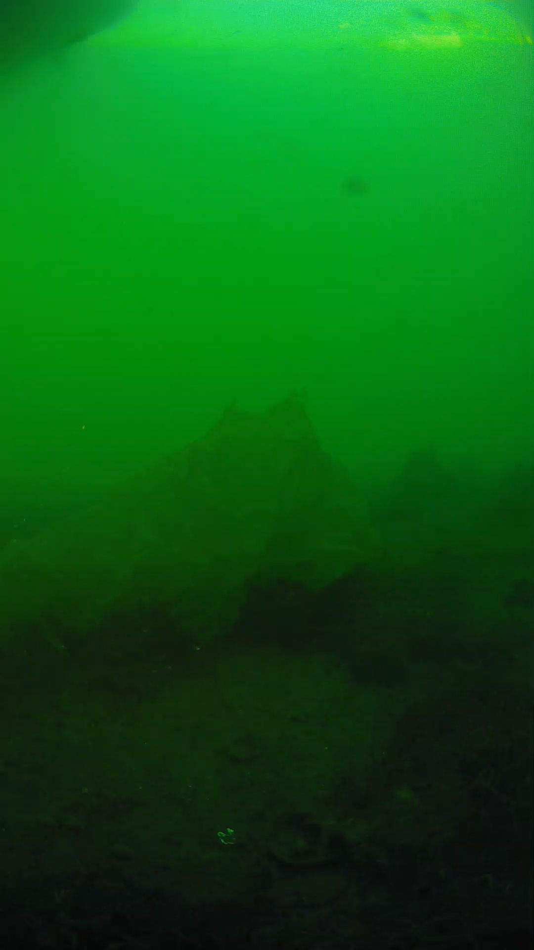 lander_ipcam_20250605183141.png