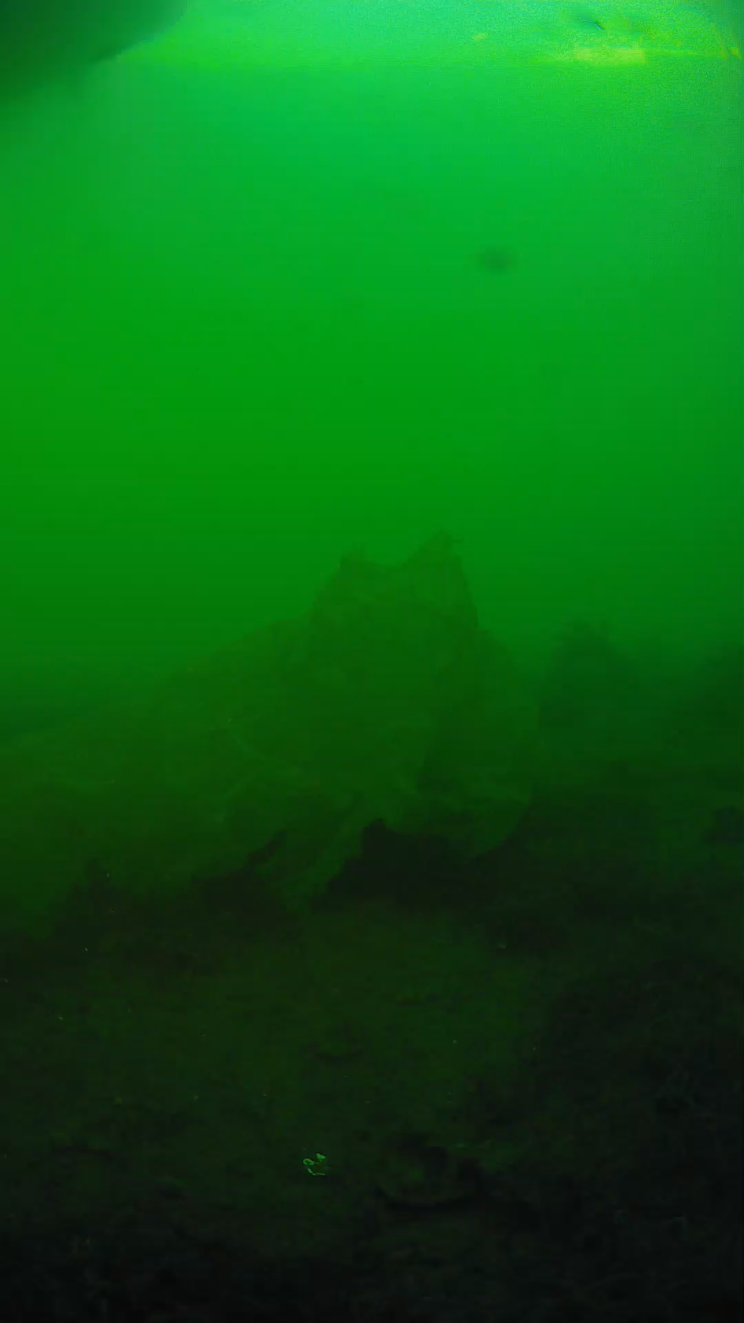 lander_ipcam_20250605183144.png