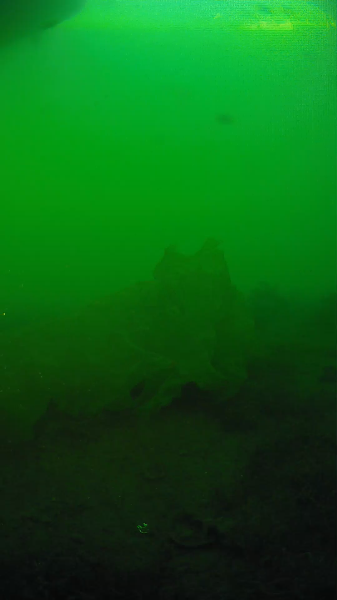 lander_ipcam_20250605183146.png