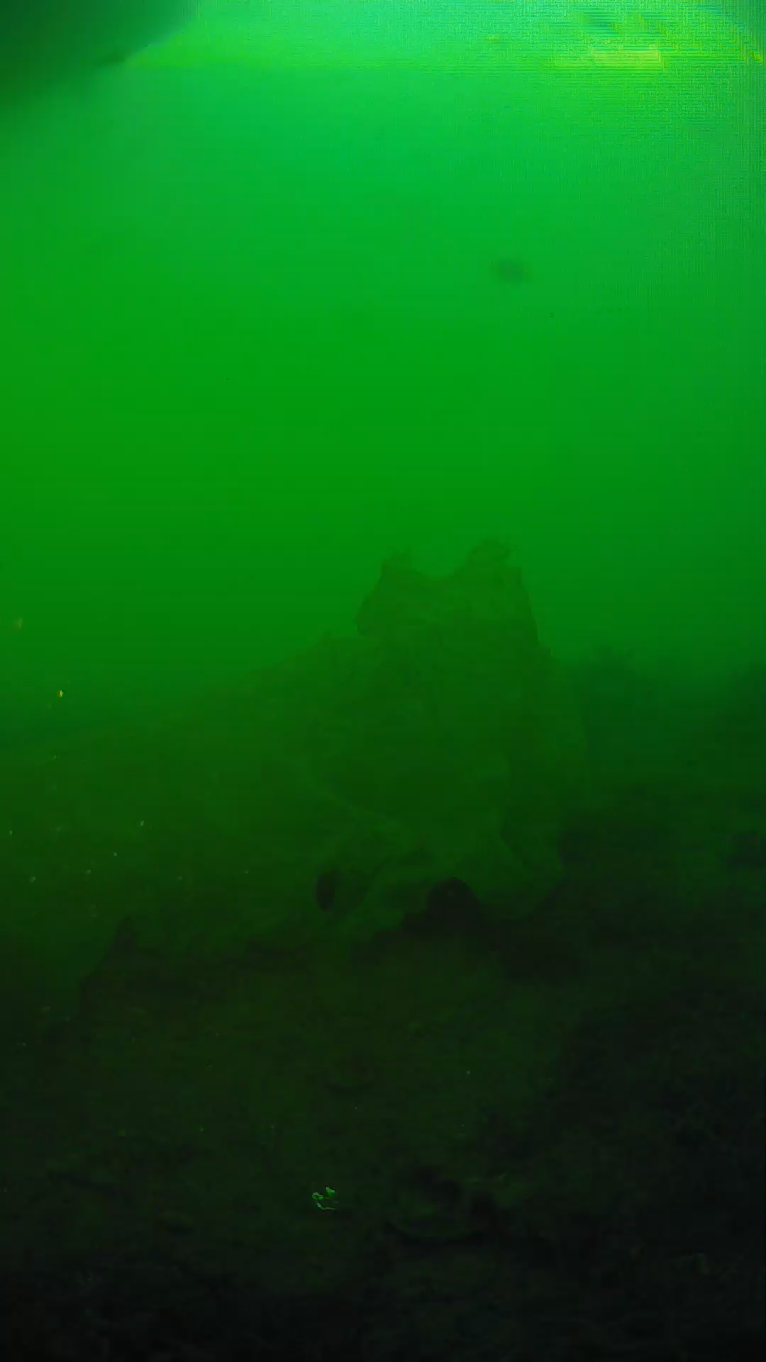 lander_ipcam_20250605183147.png