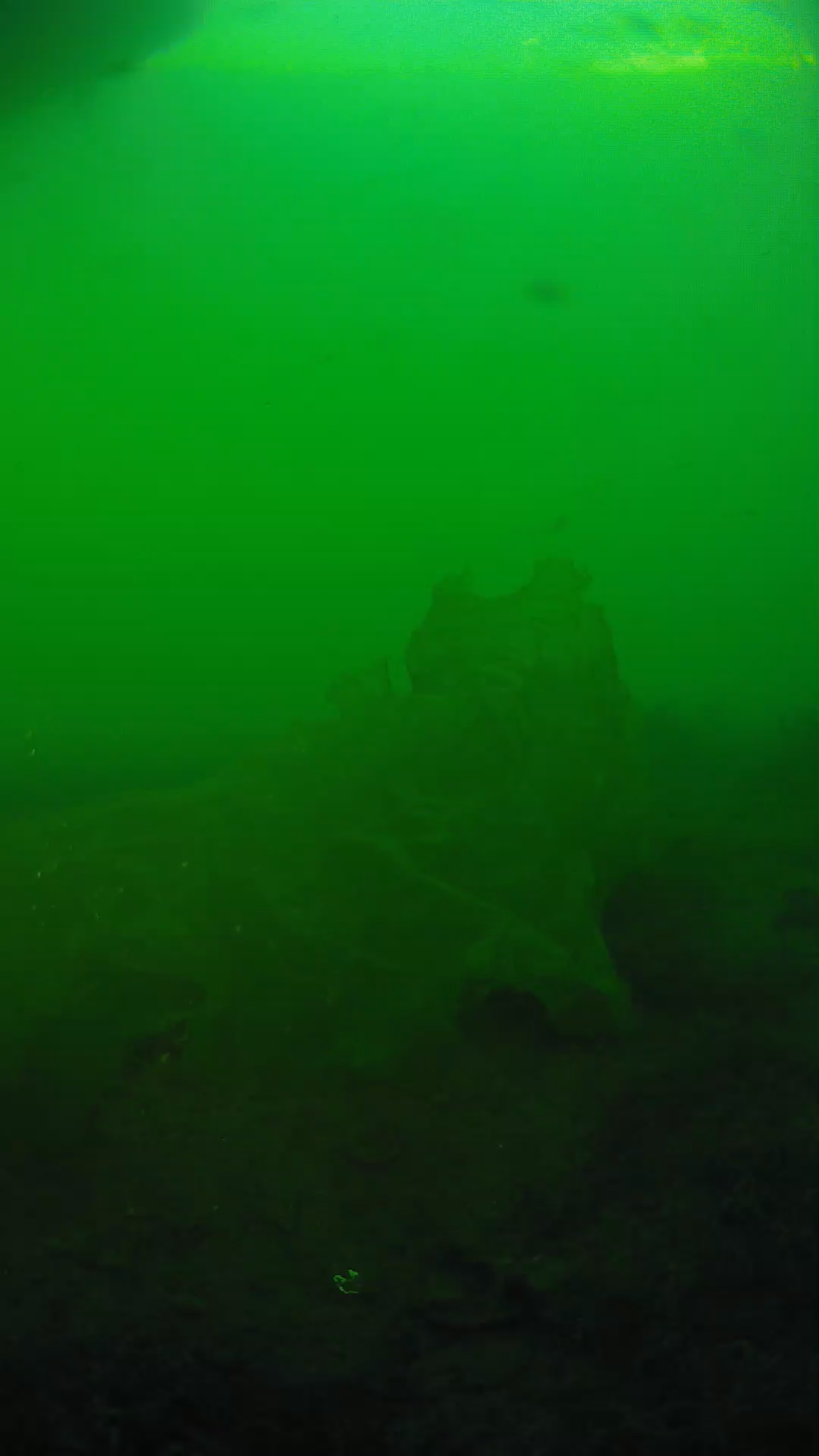 lander_ipcam_20250605183151.png