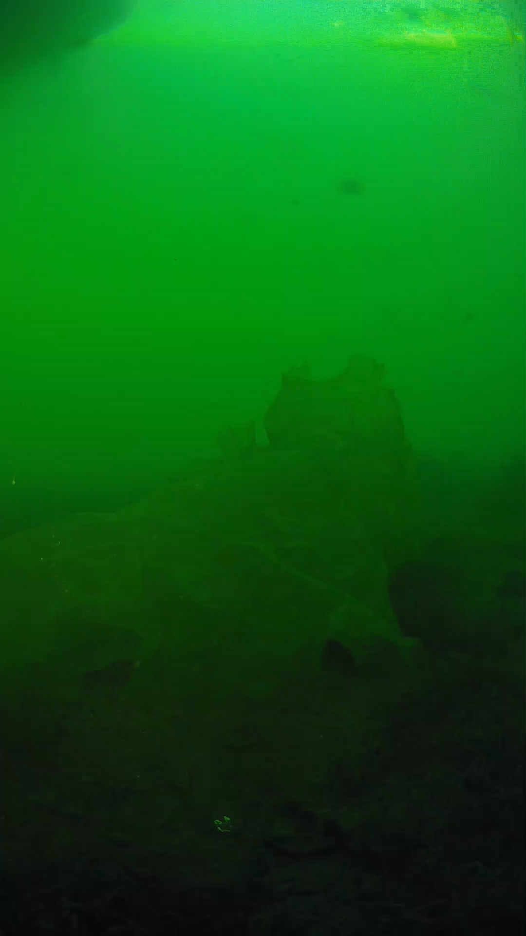 lander_ipcam_20250605183152.png