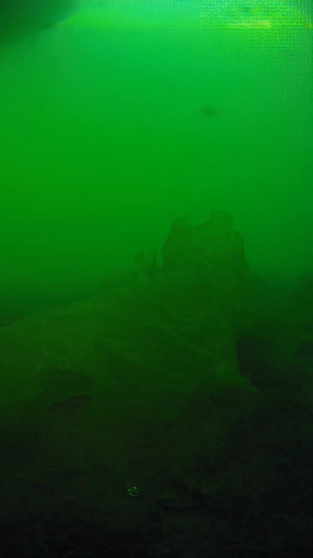 lander_ipcam_20250605183153.png