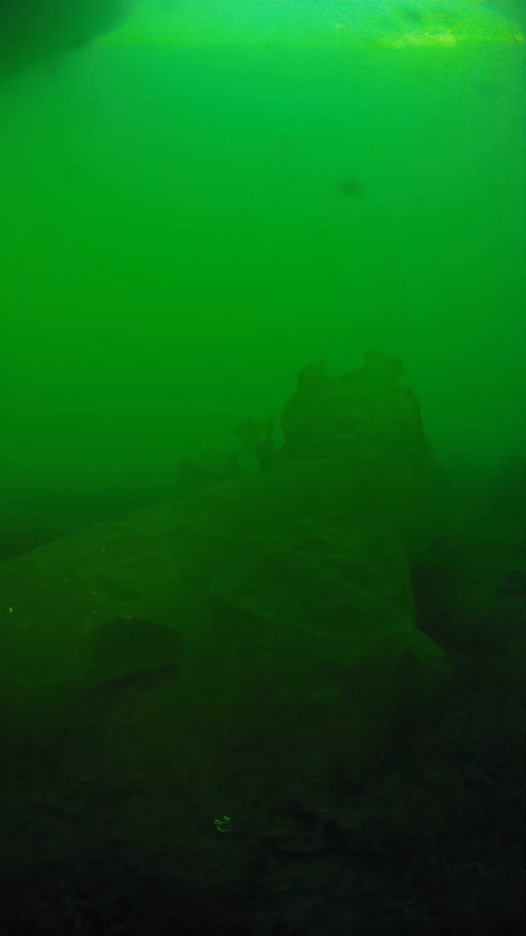lander_ipcam_20250605183154.png