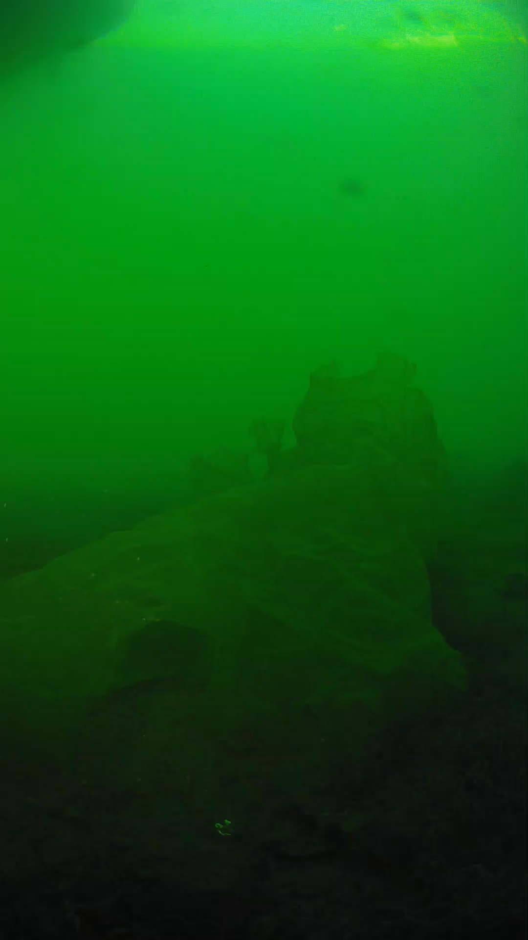 lander_ipcam_20250605183155.png