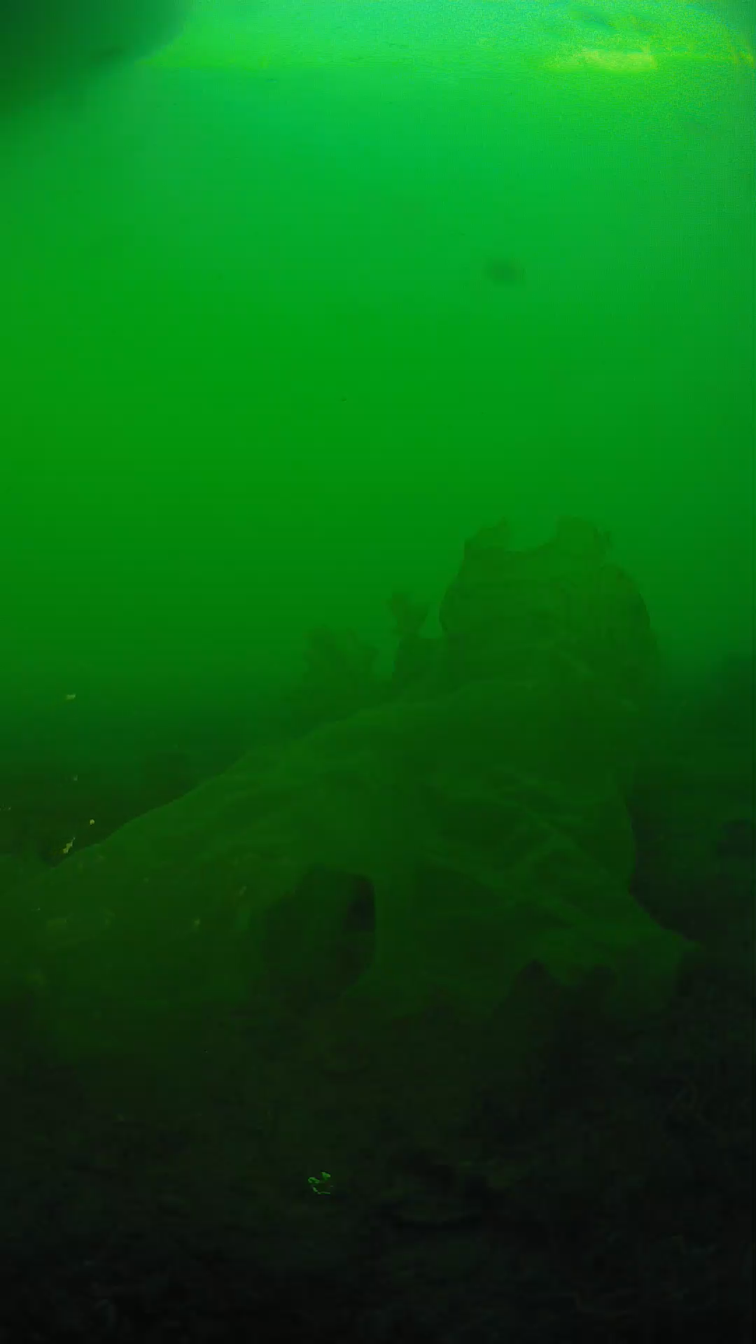 lander_ipcam_20250605183158.png