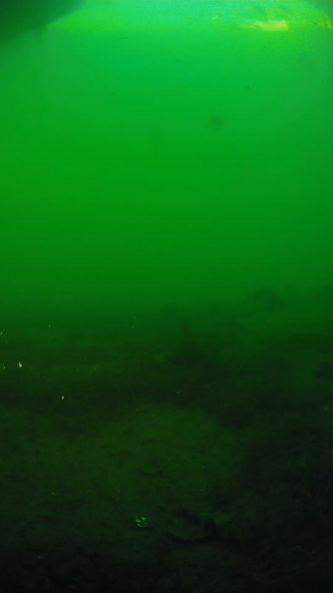 lander_ipcam_20250605184624.png