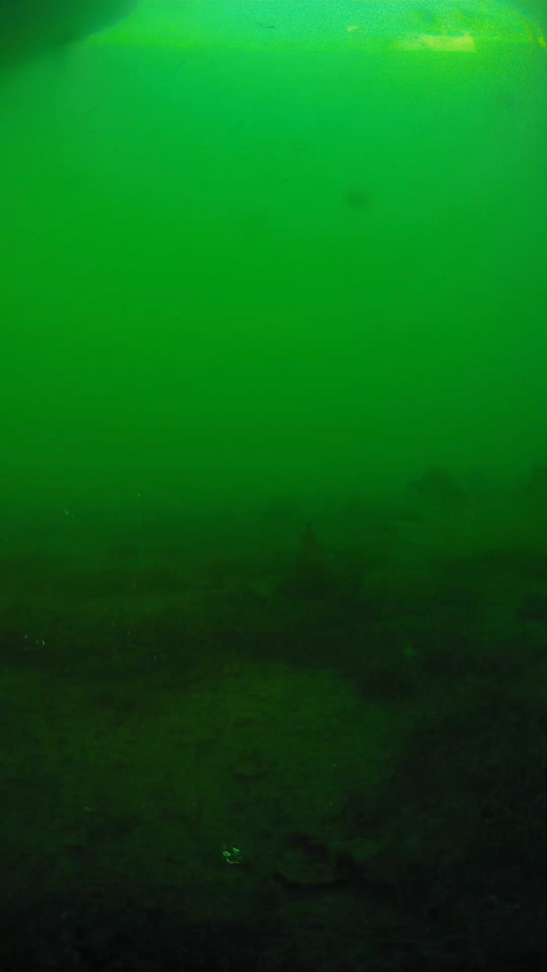 lander_ipcam_20250605184630.png