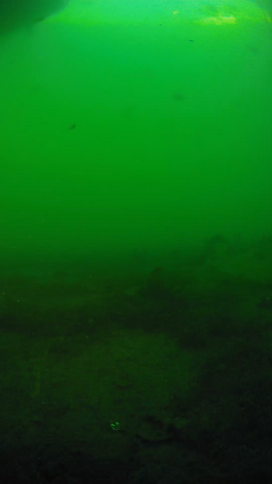 lander_ipcam_20250605184646.png