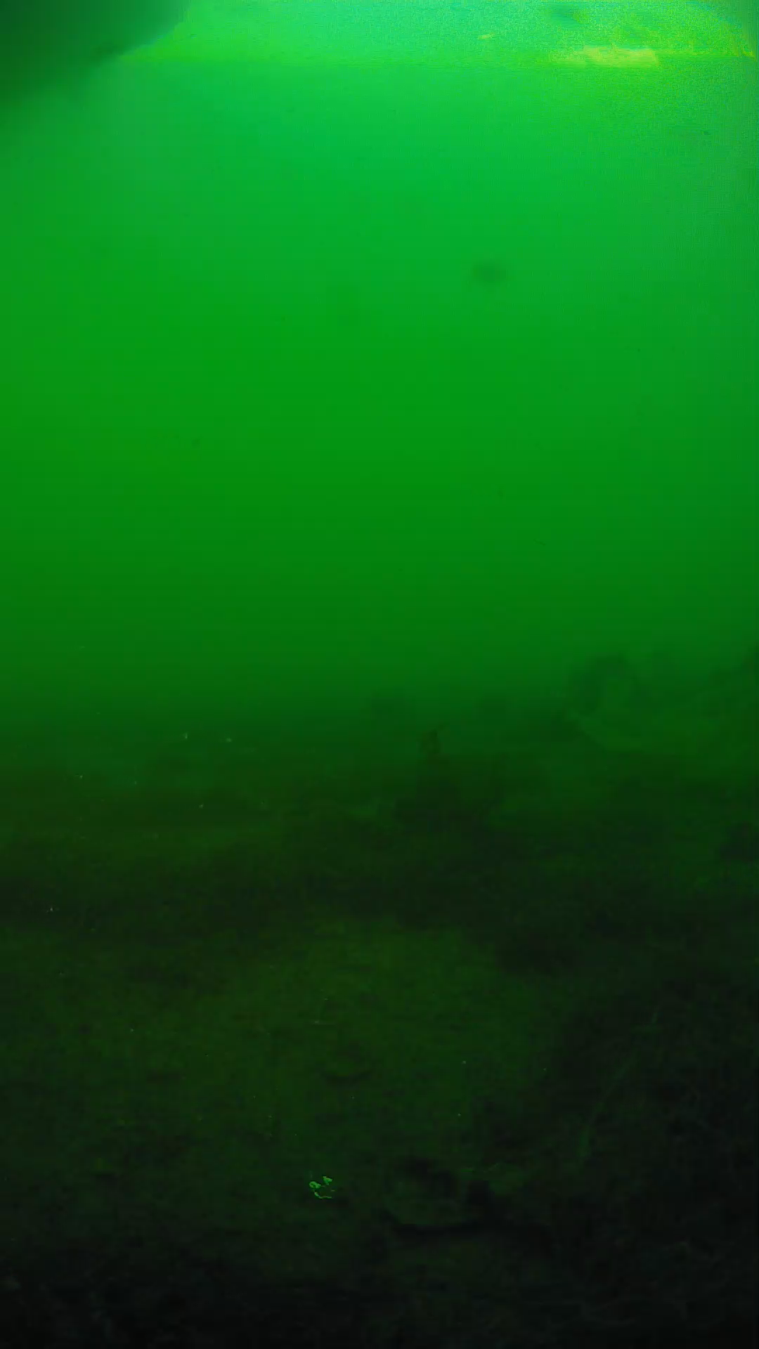 lander_ipcam_20250605184656.png