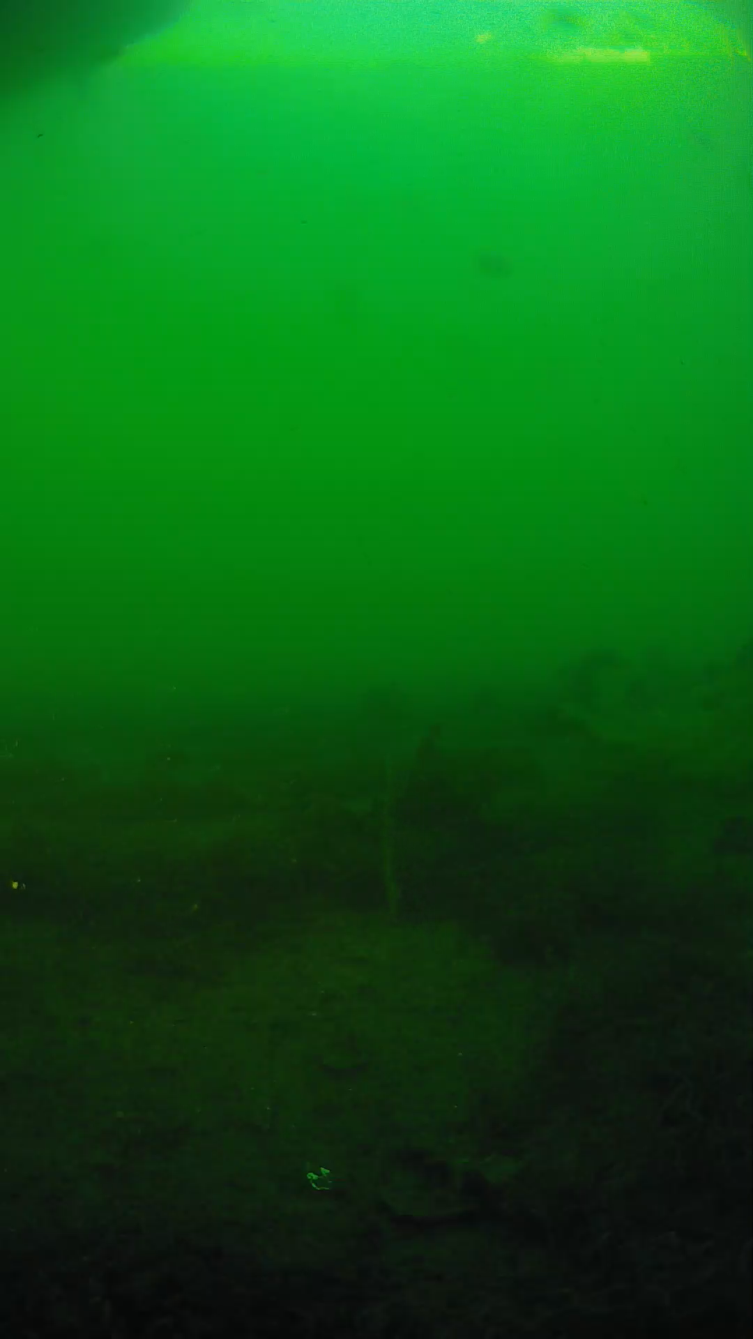 lander_ipcam_20250605184659.png