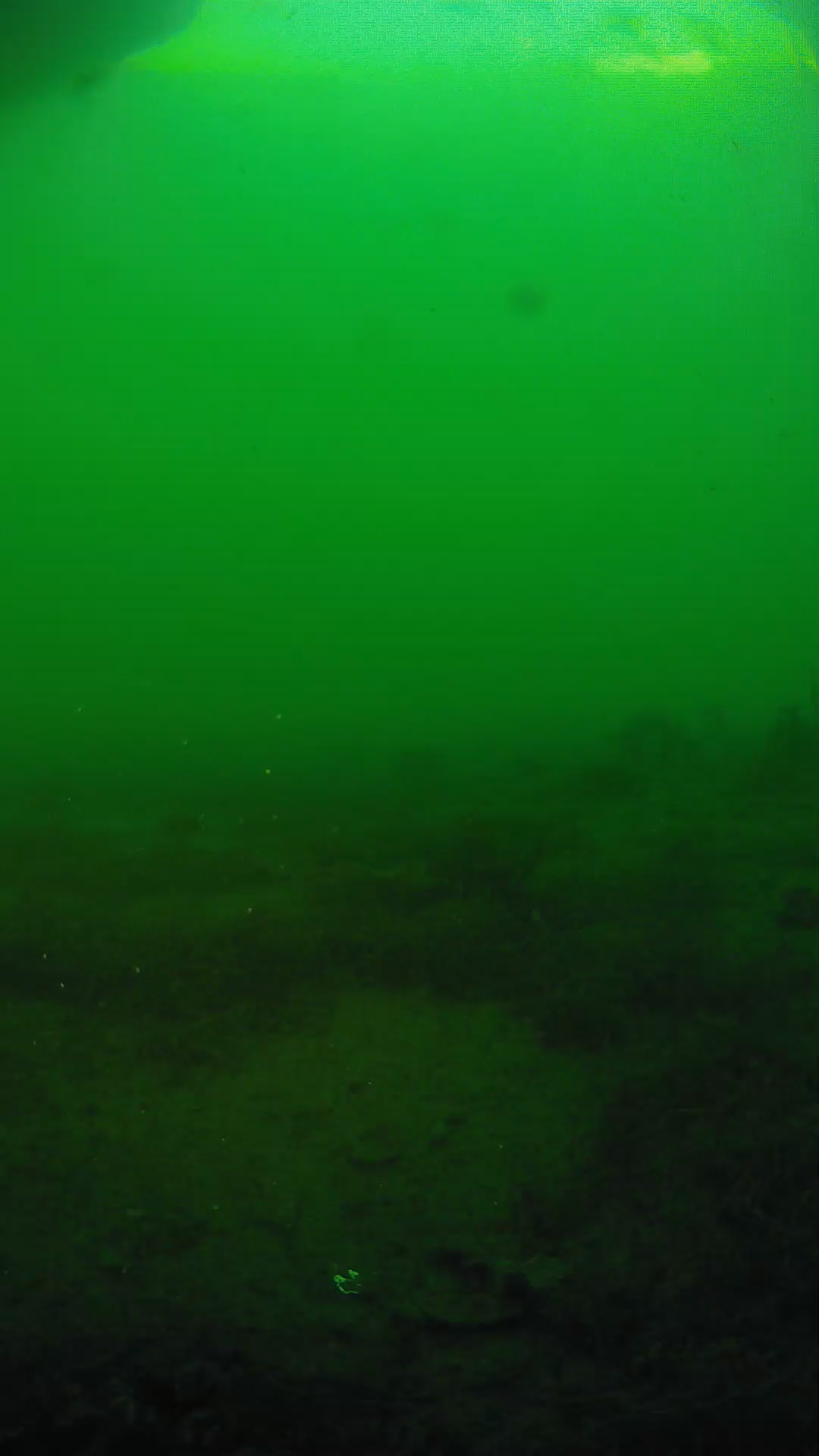 lander_ipcam_20250605190130.png