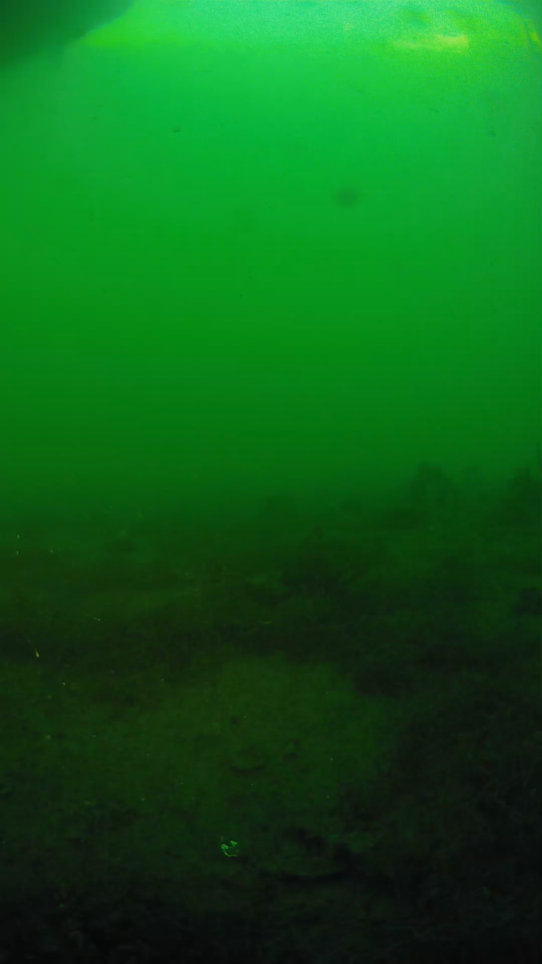 lander_ipcam_20250605190143.png