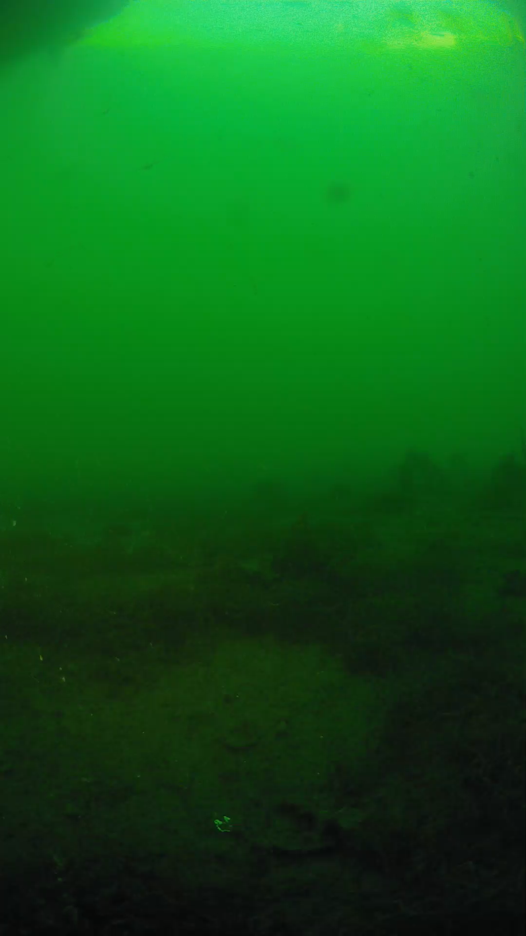 lander_ipcam_20250605190144.png