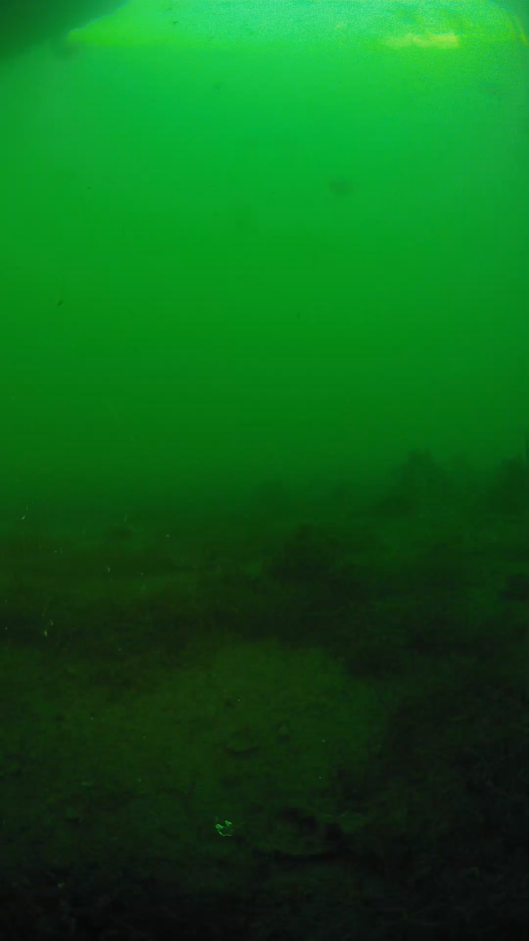 lander_ipcam_20250605190150.png
