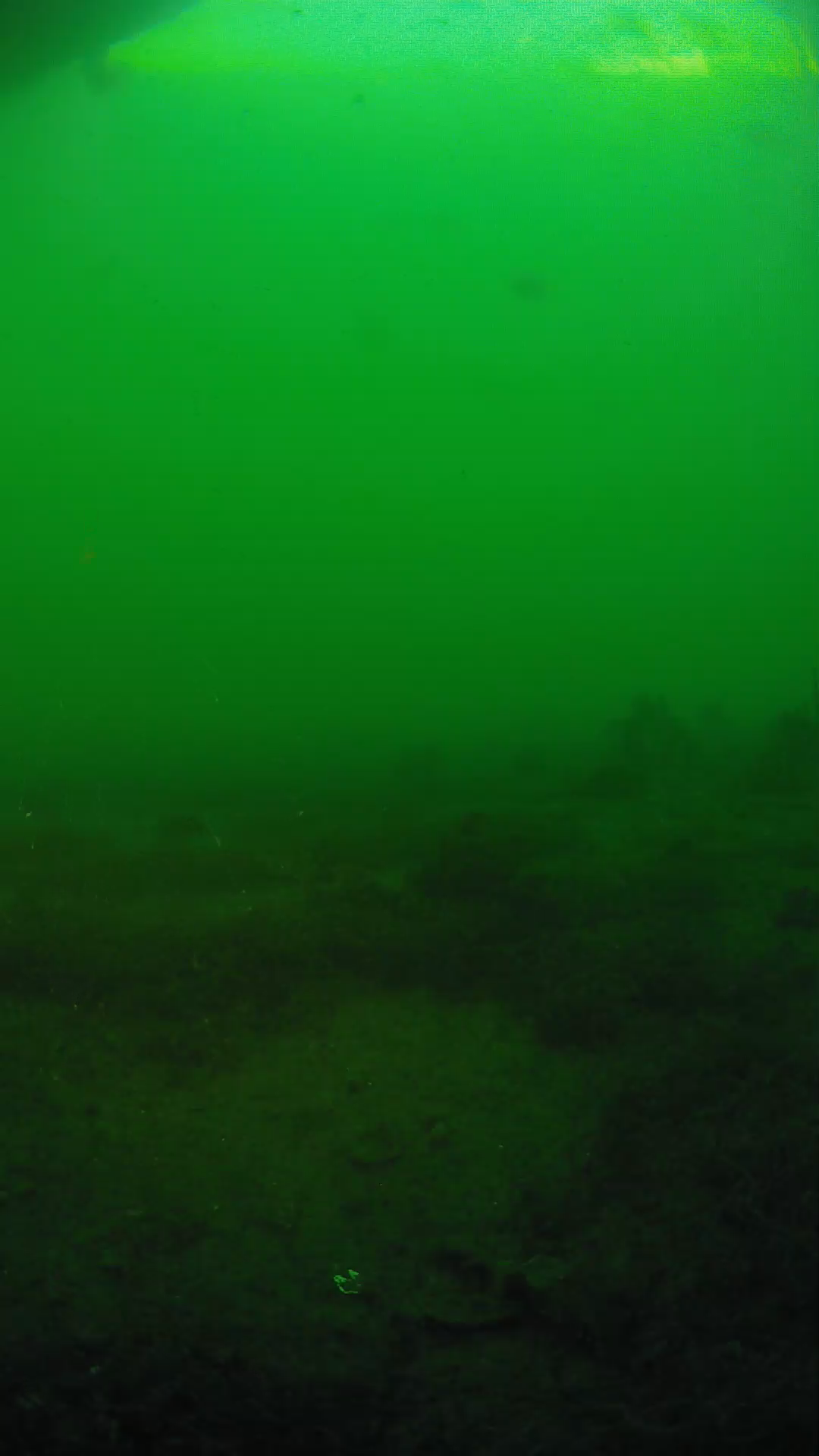lander_ipcam_20250605190151.png