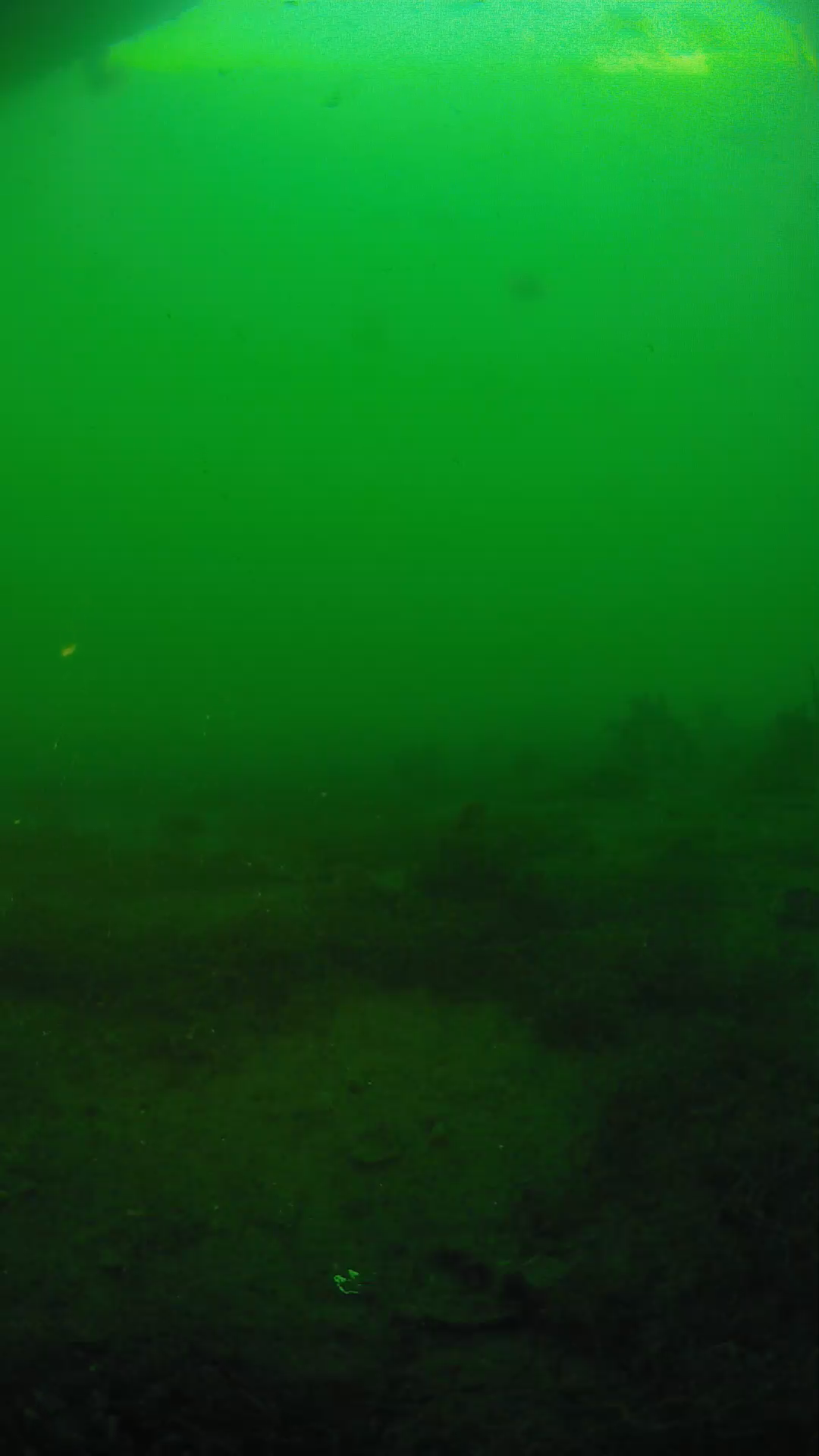 lander_ipcam_20250605190152.png