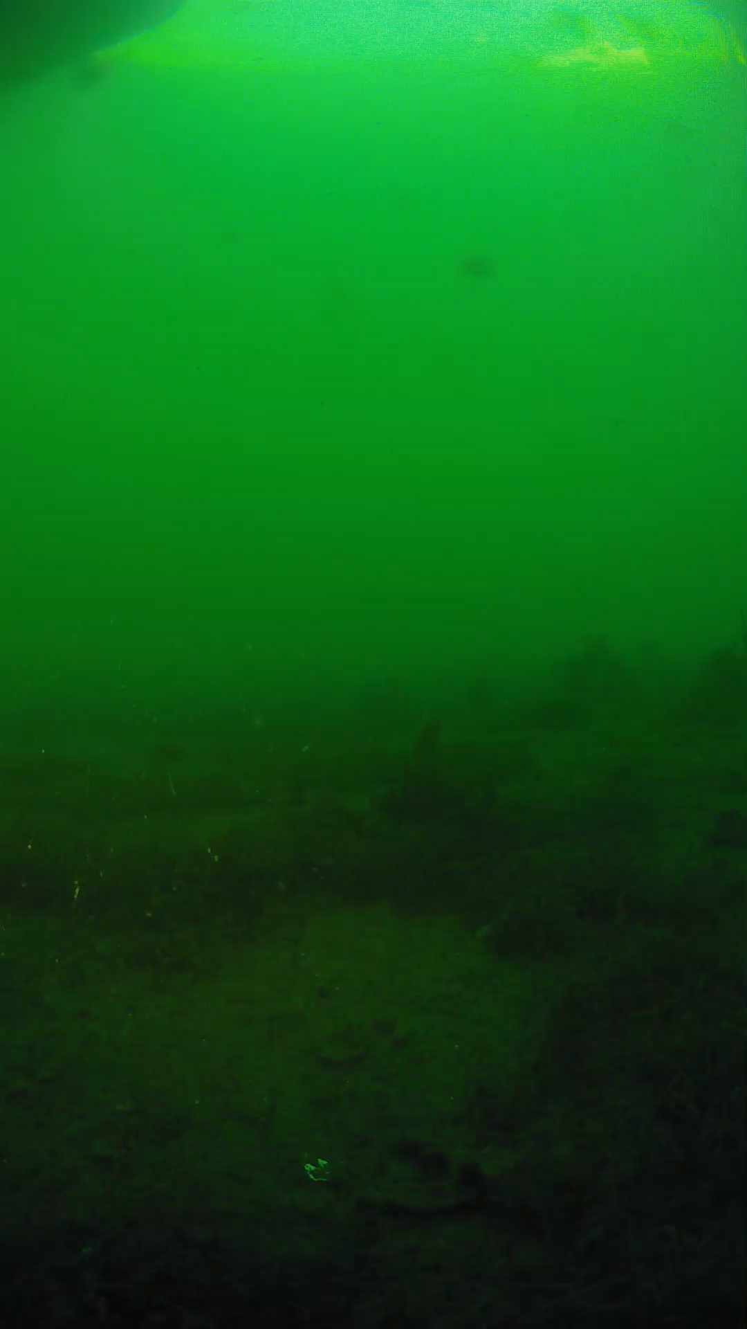 lander_ipcam_20250605190202.png
