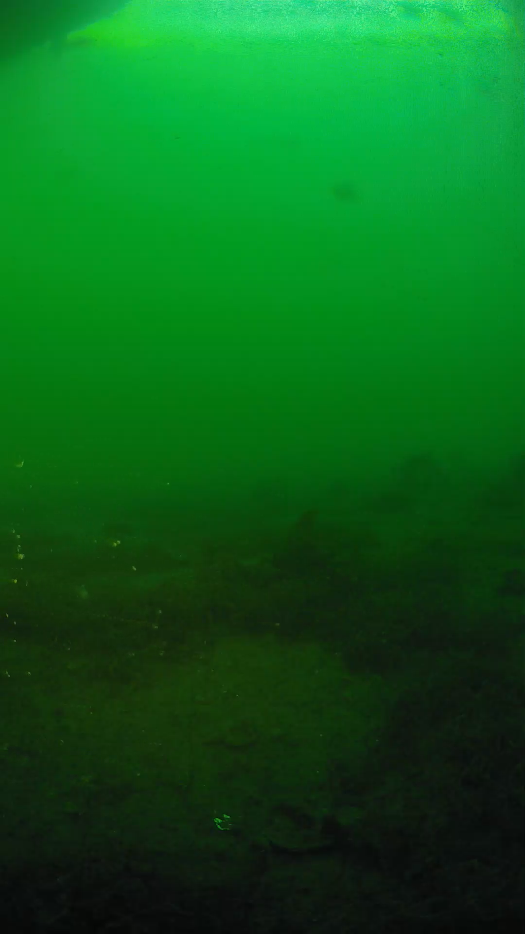 lander_ipcam_20250605191620.png