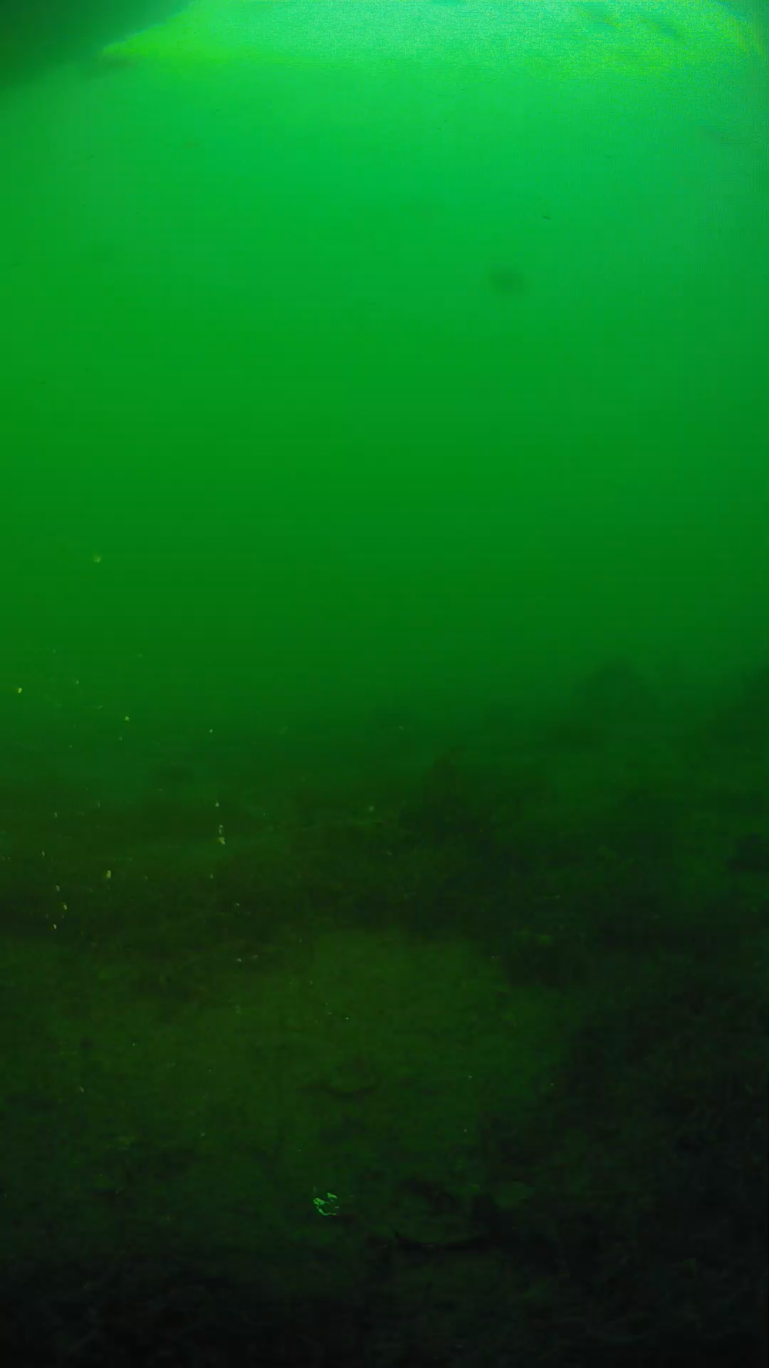lander_ipcam_20250605191624.png