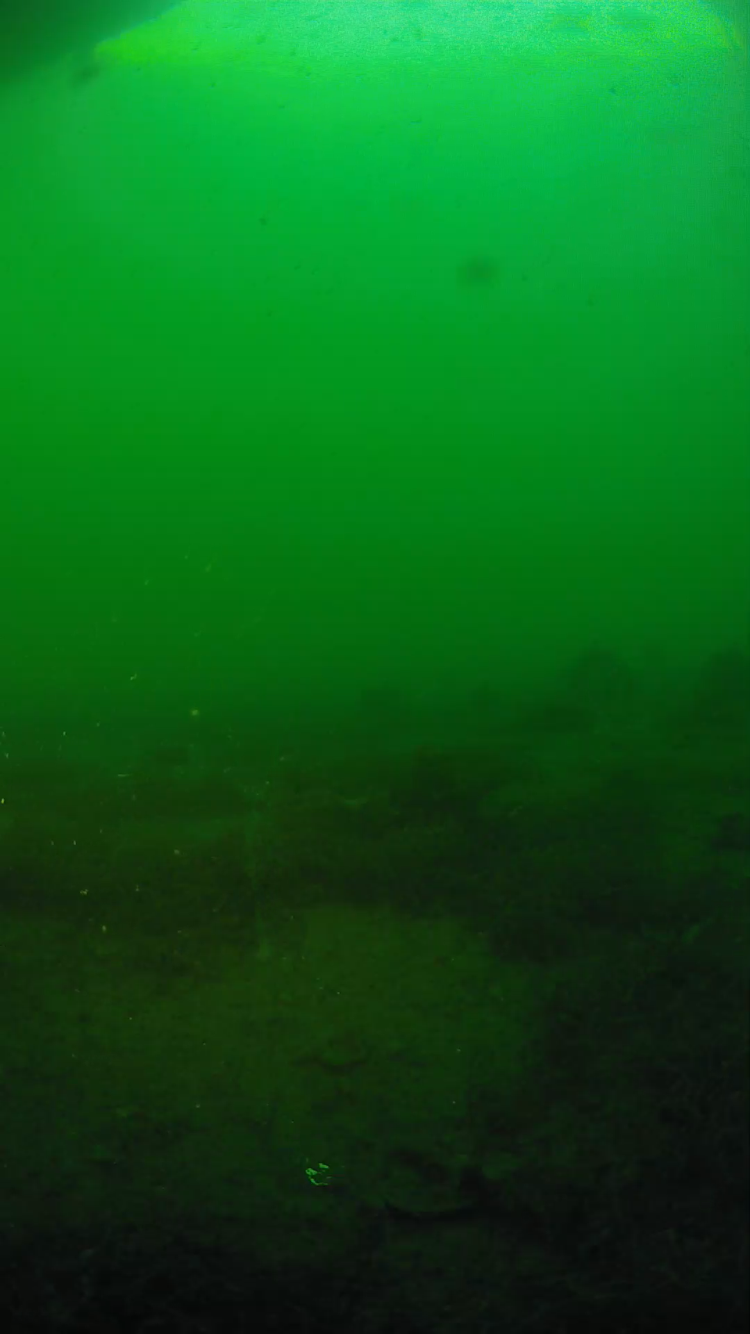 lander_ipcam_20250605191647.png