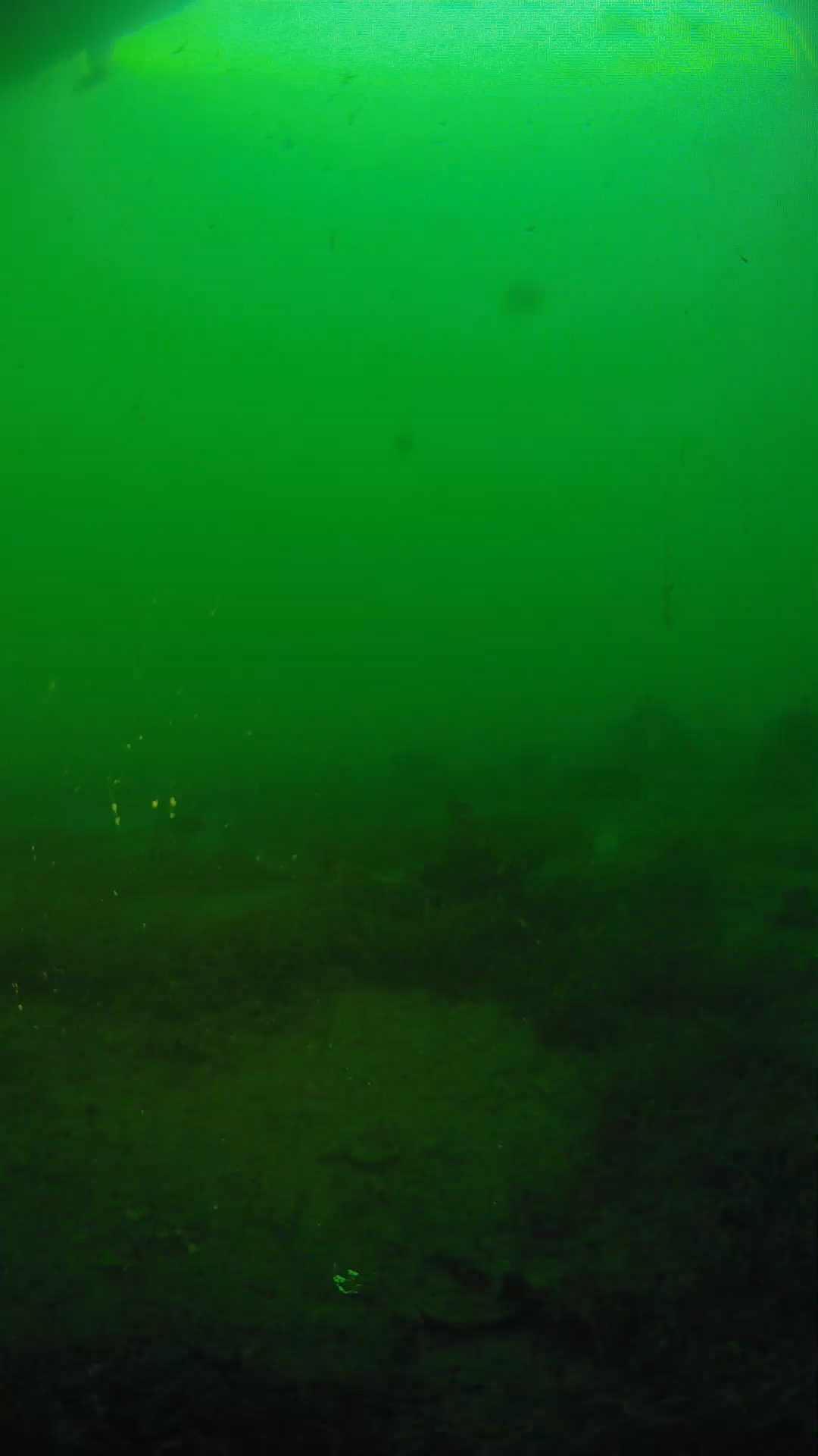 lander_ipcam_20250605191651.png
