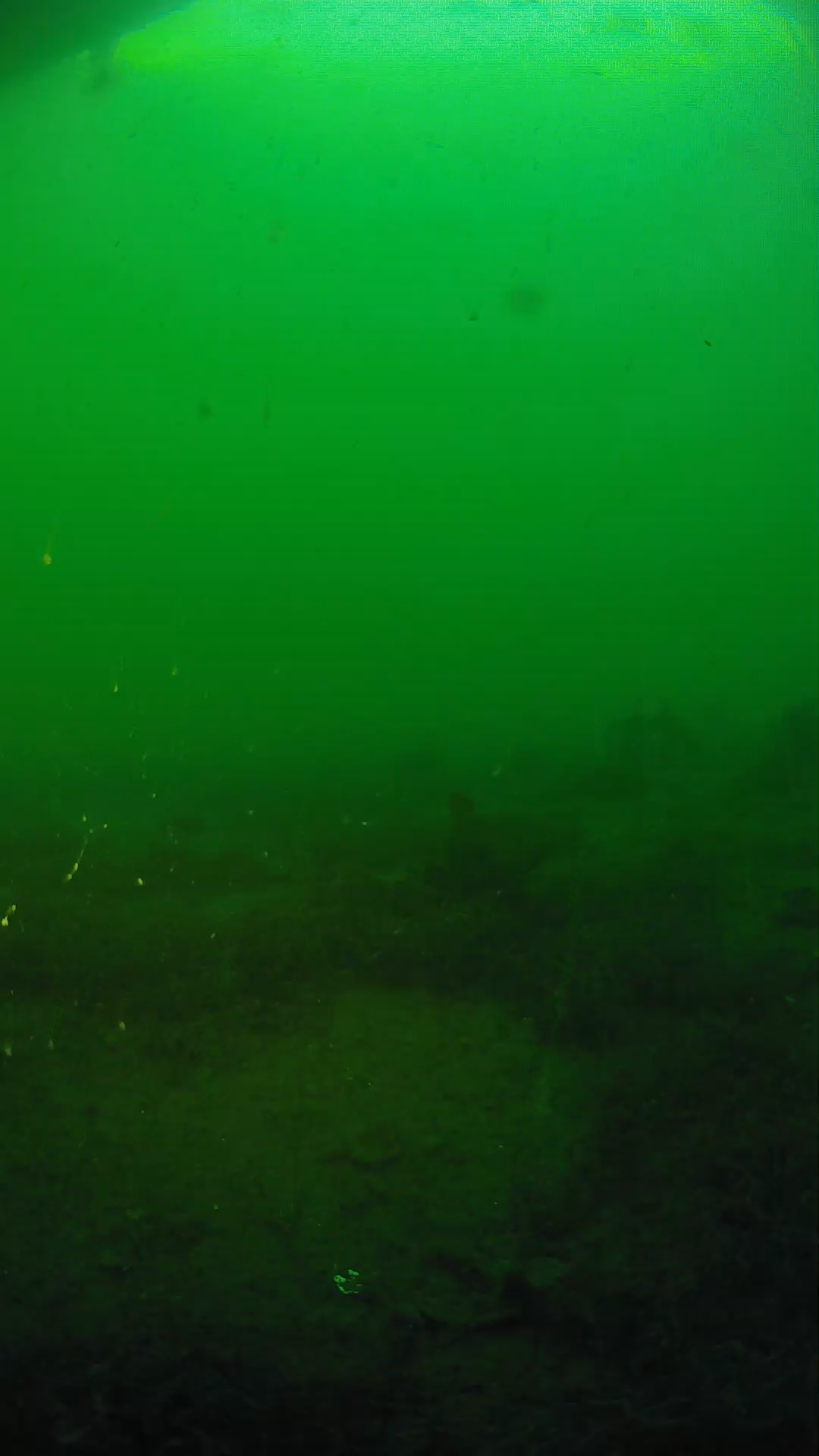 lander_ipcam_20250605191654.png