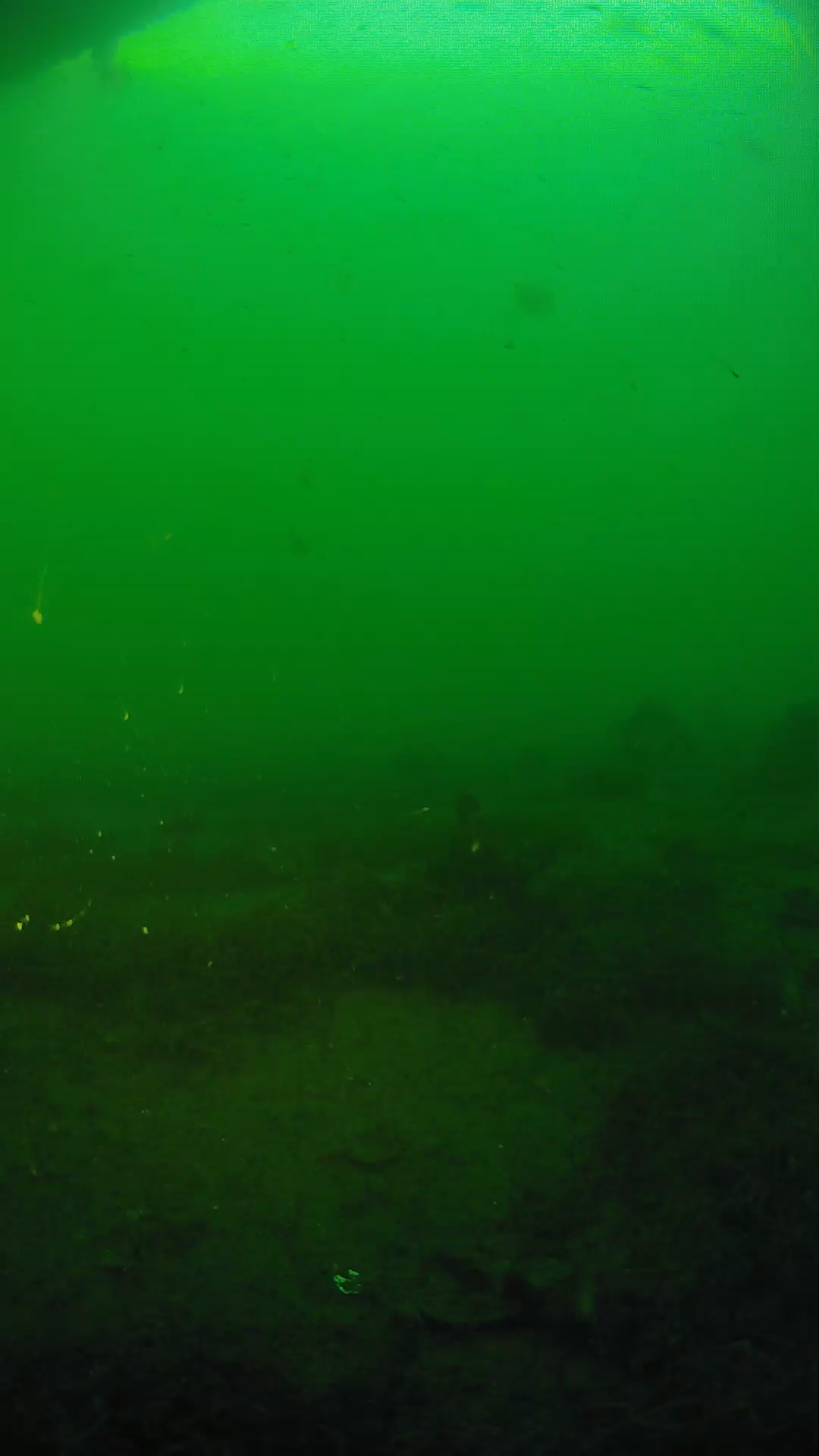 lander_ipcam_20250605191655.png