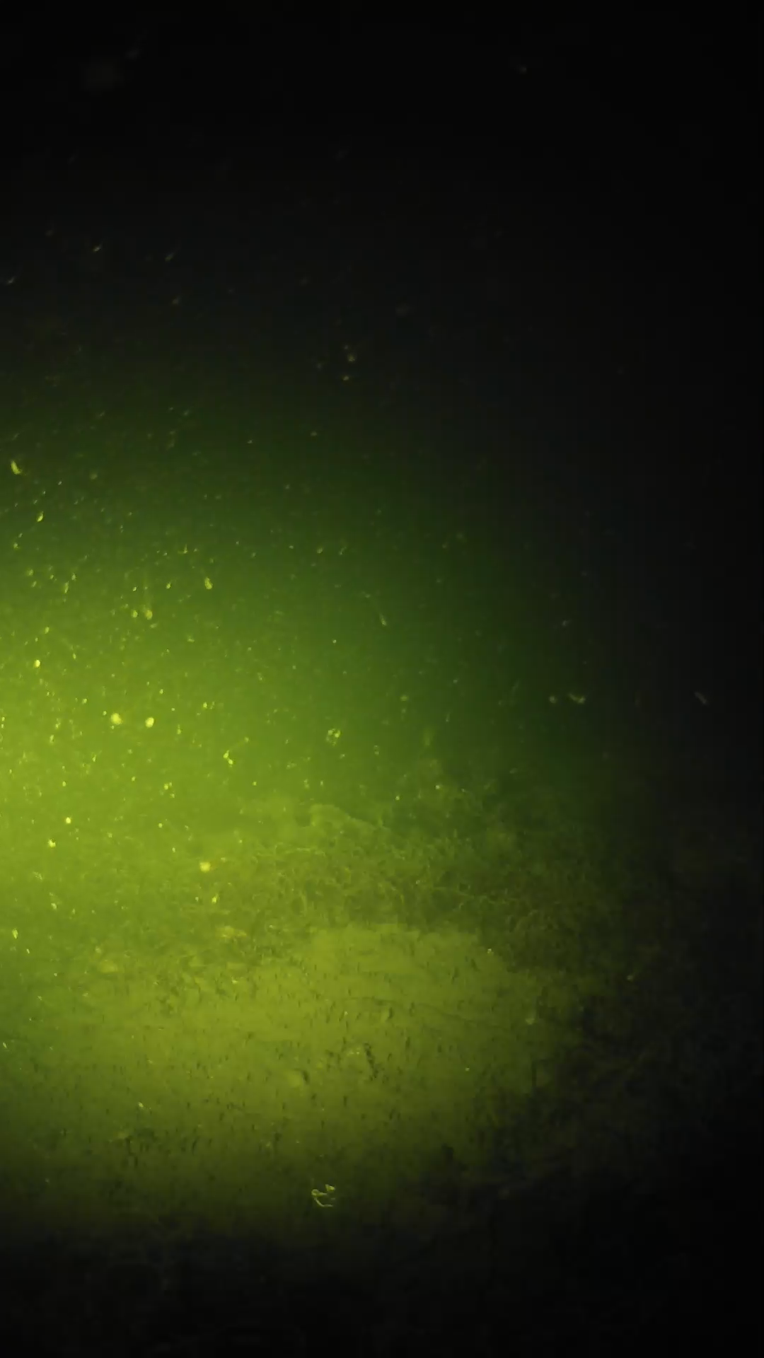 lander_ipcam_20250605220159.png