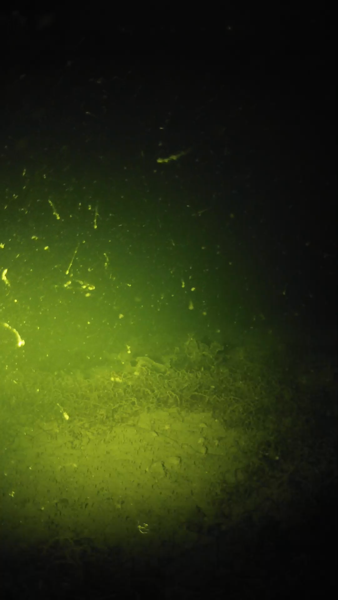 lander_ipcam_20250606020139.png