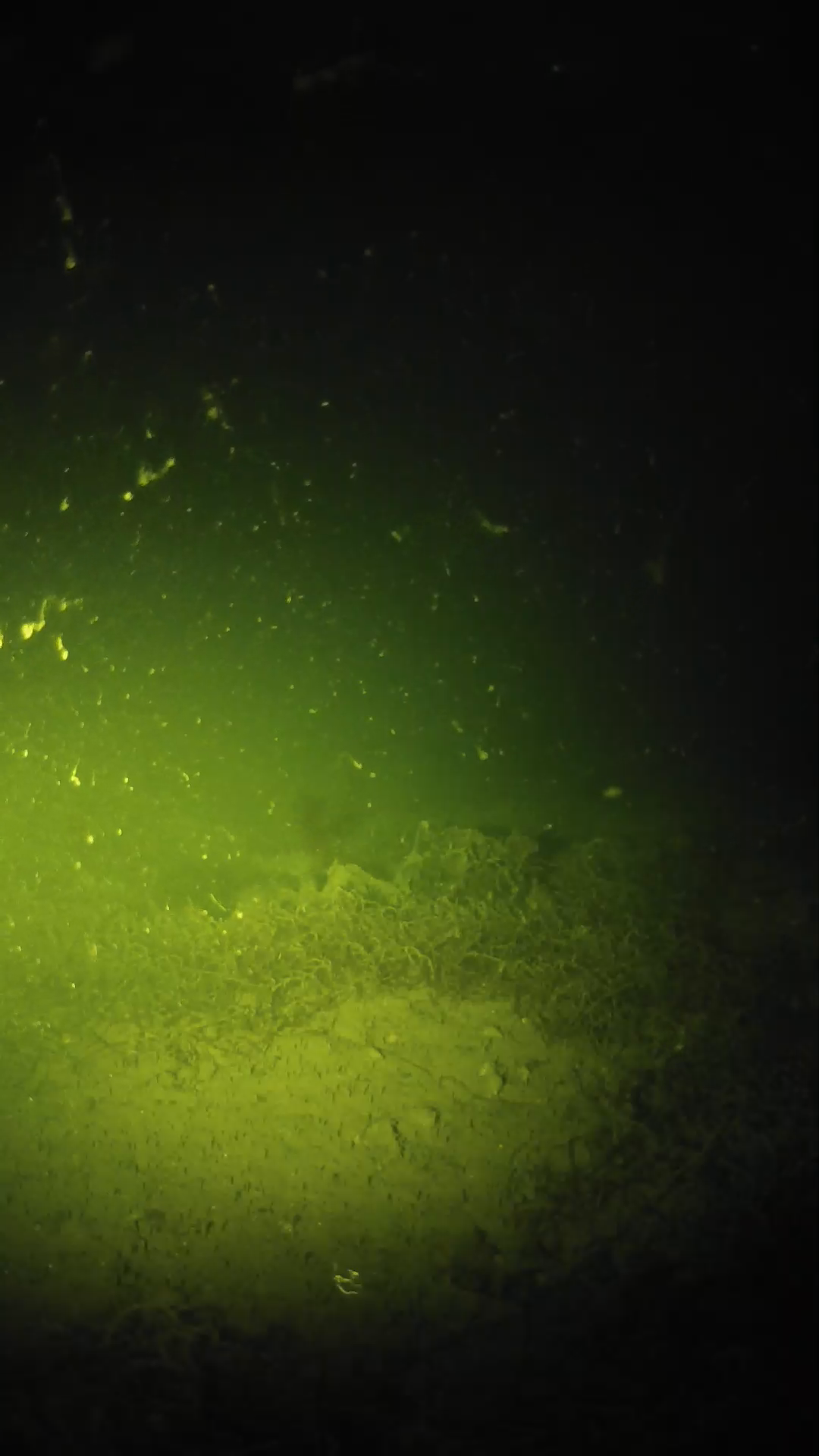 lander_ipcam_20250606020150.png