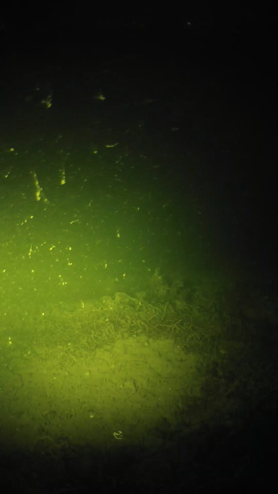 lander_ipcam_20250606031630.png
