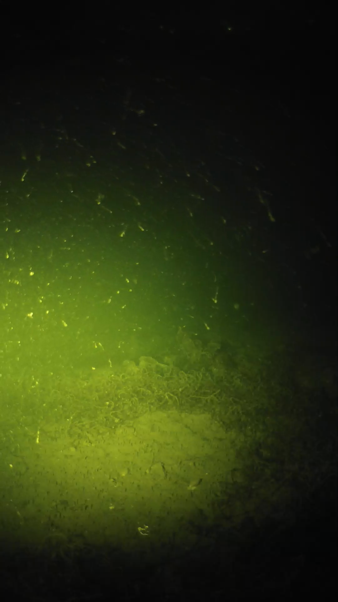 lander_ipcam_20250606040200.png