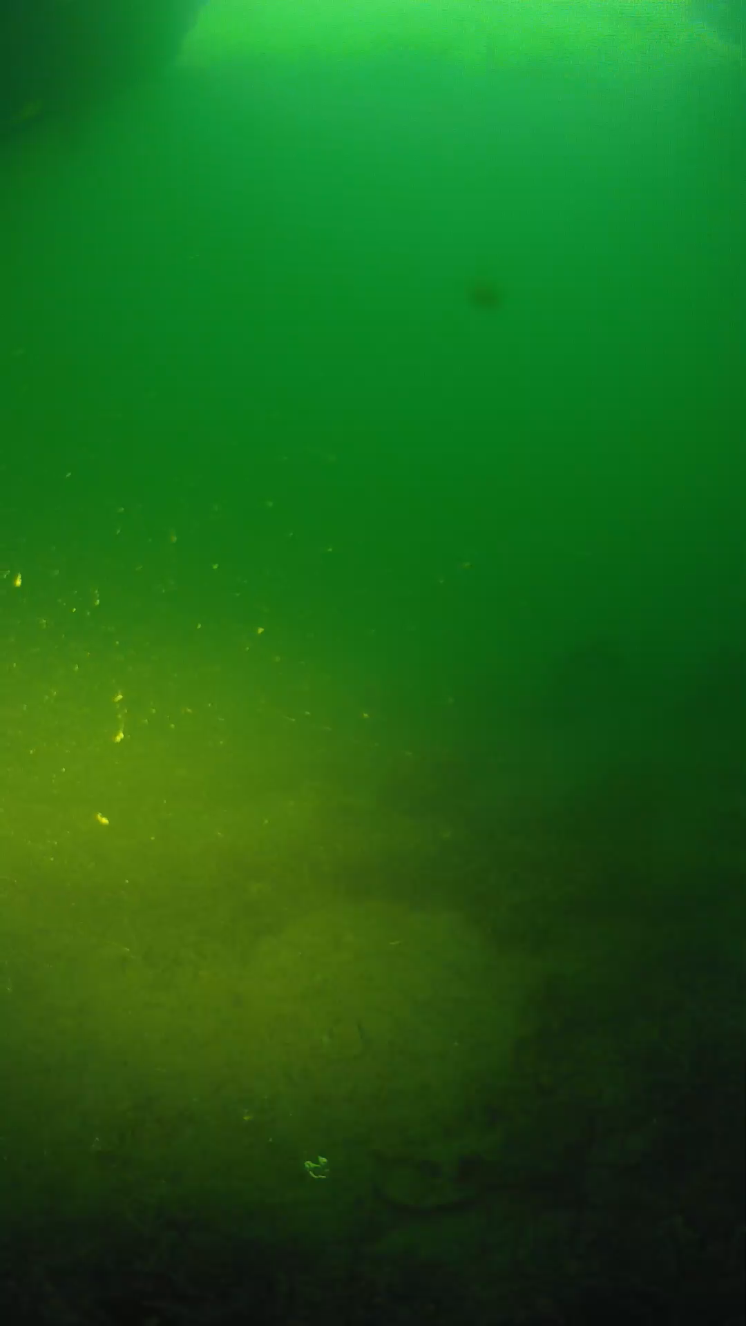 lander_ipcam_20250606051651.png