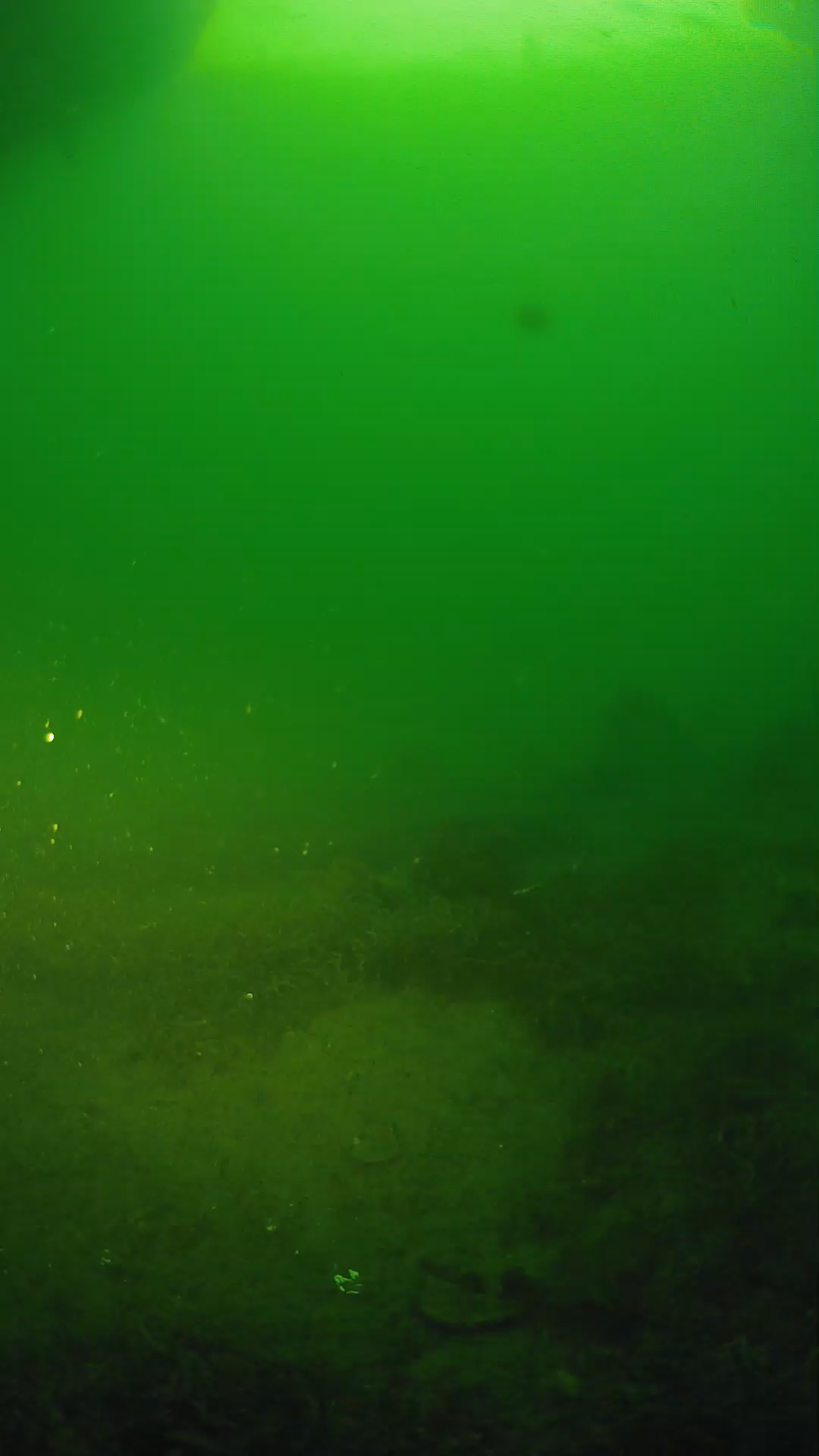 lander_ipcam_20250606053147.png