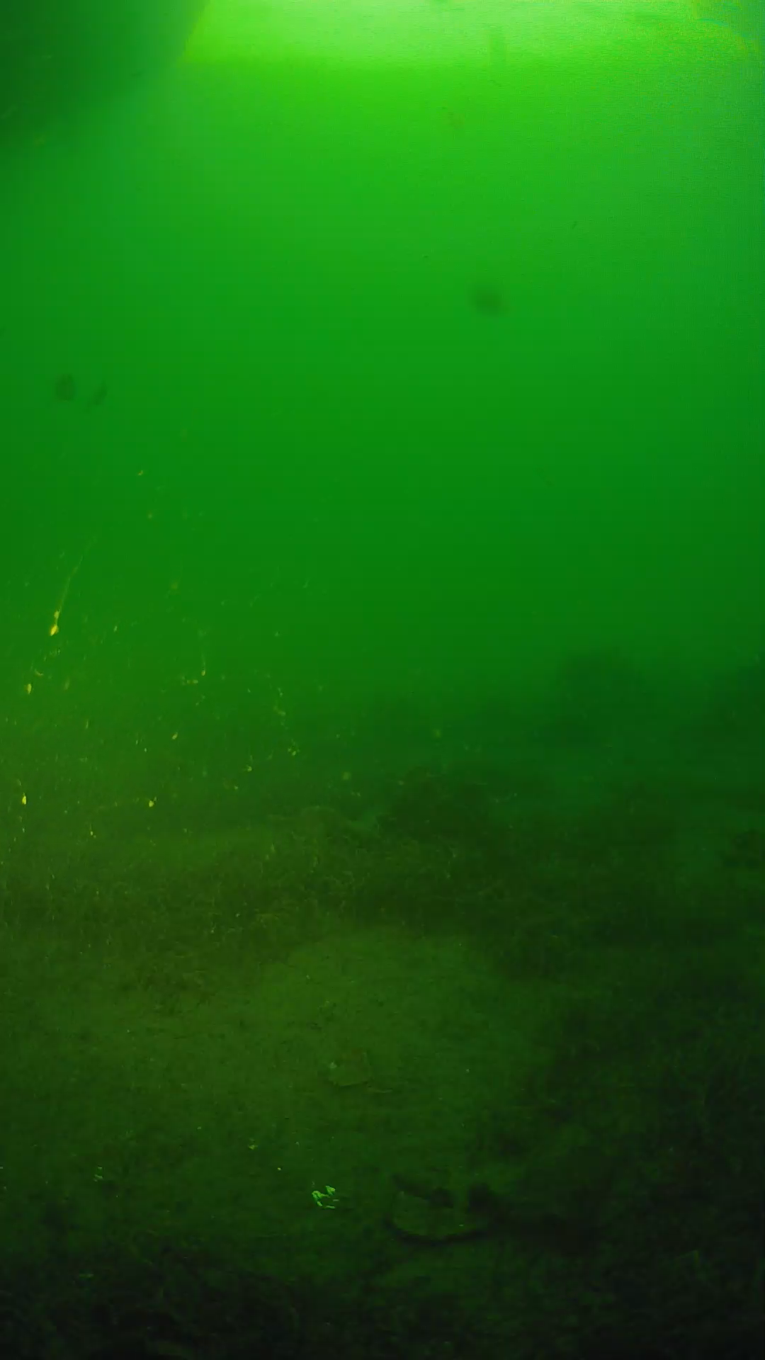 lander_ipcam_20250606060148.png