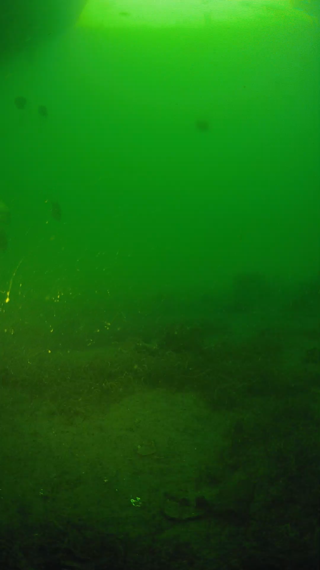lander_ipcam_20250606060150.png