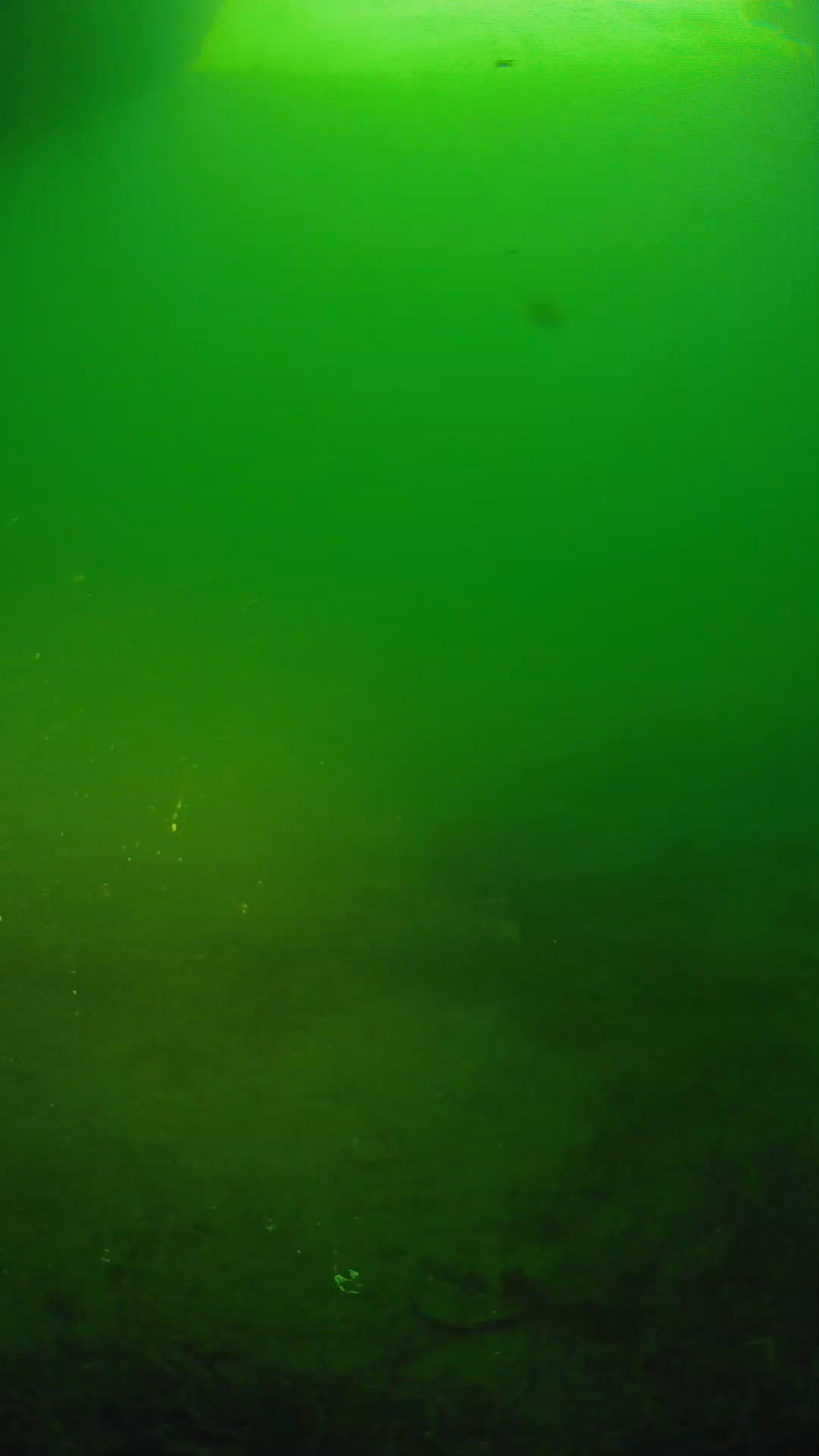 lander_ipcam_20250606061642.png