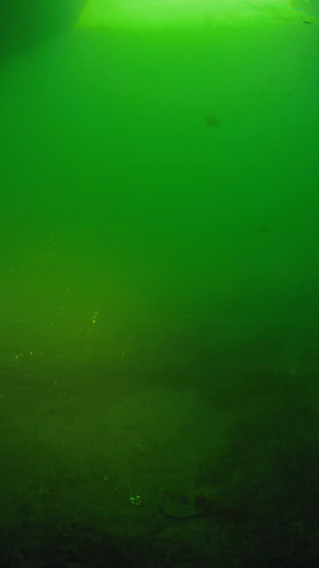 lander_ipcam_20250606061643.png