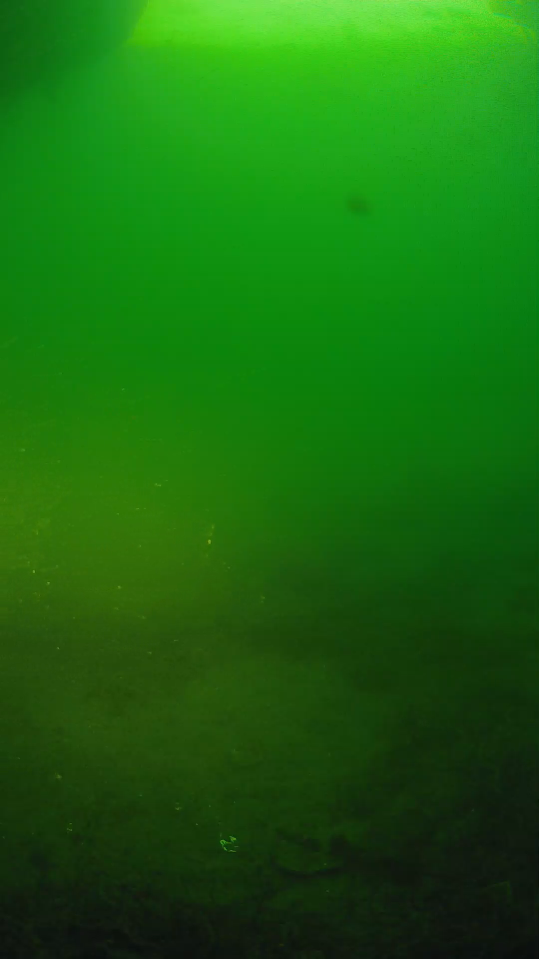 lander_ipcam_20250606061644.png
