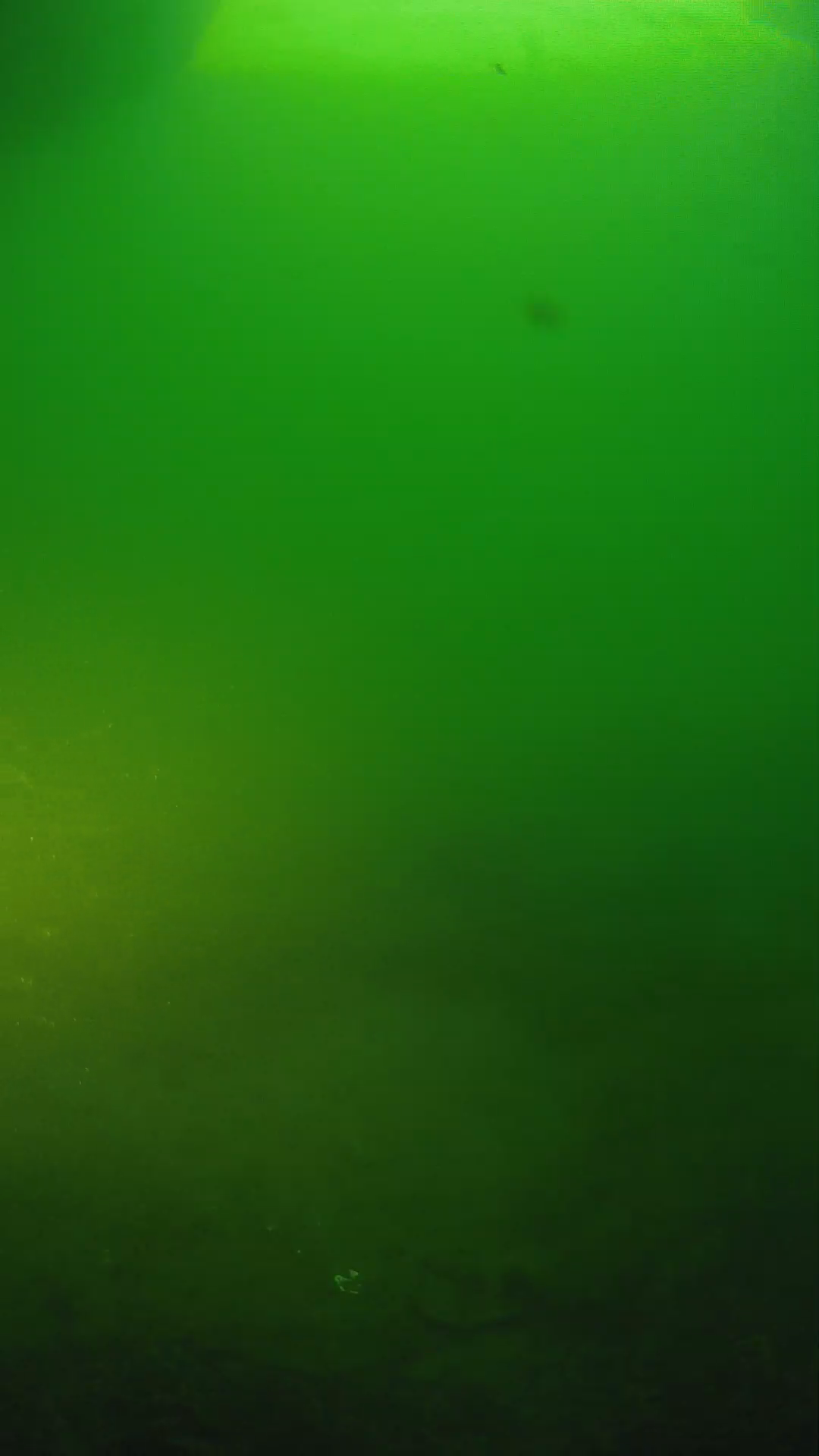 lander_ipcam_20250606061655.png