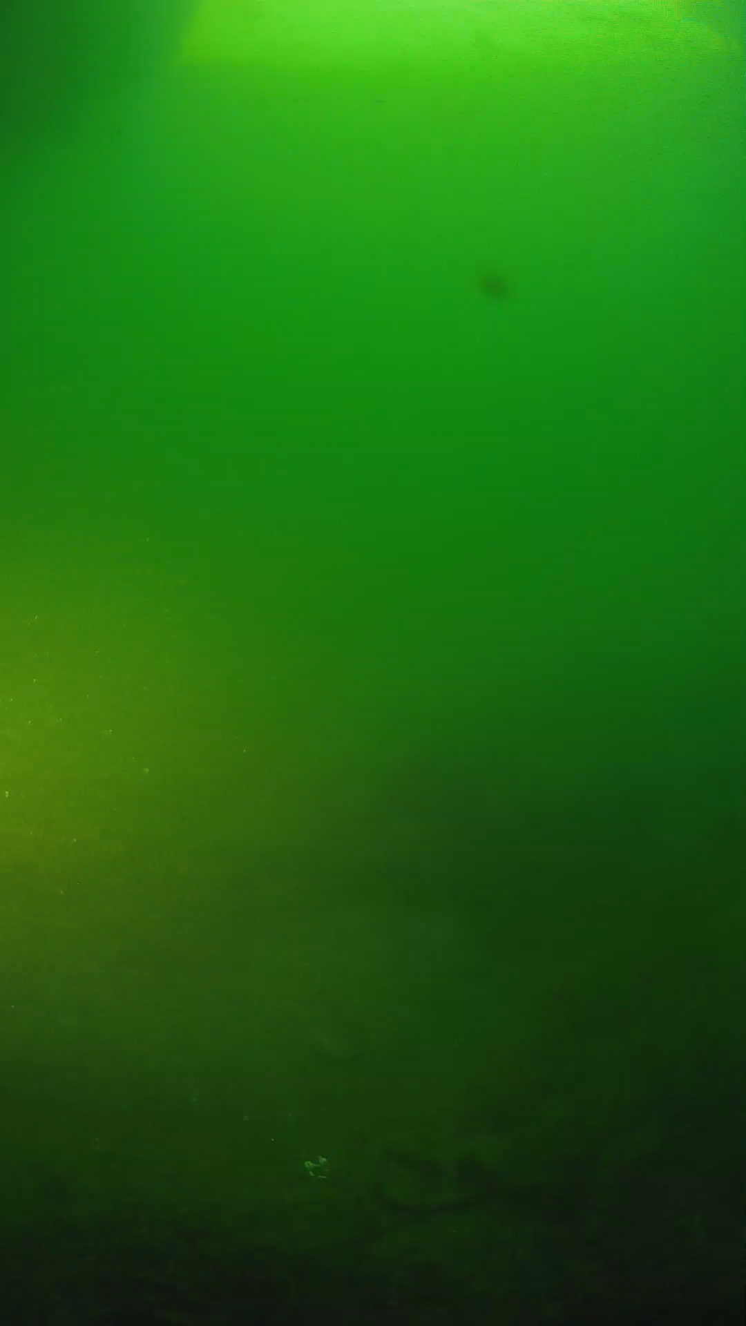 lander_ipcam_20250606061658.png